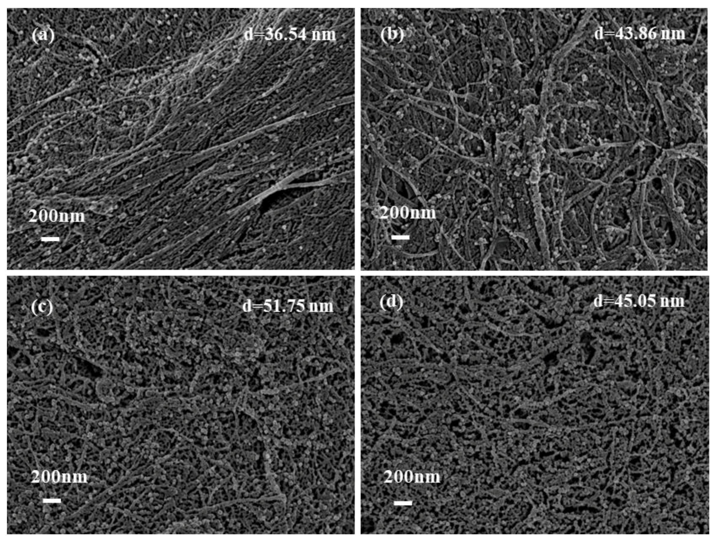 Materials 12 03101 g005