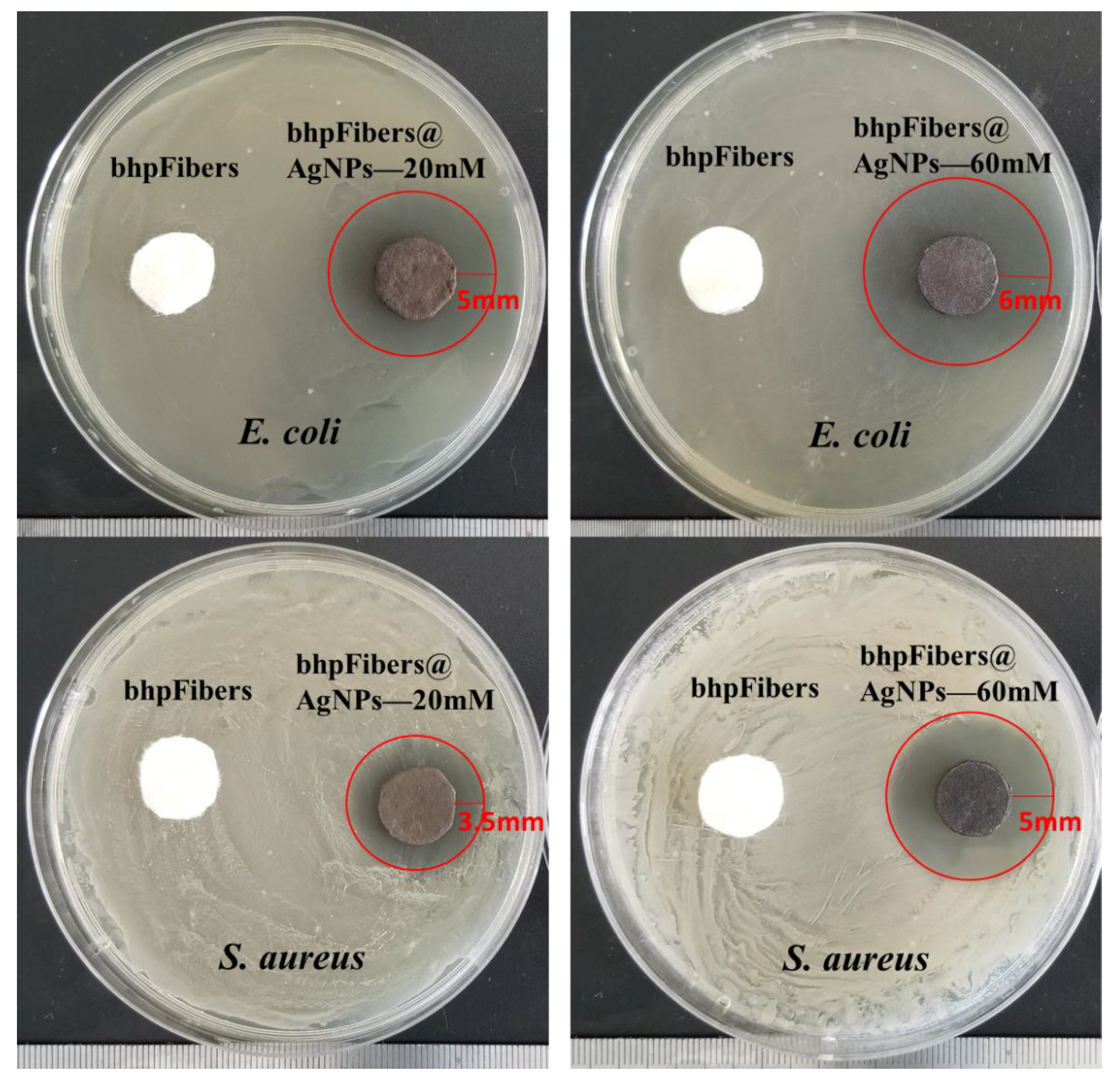 Materials 12 03101 g006