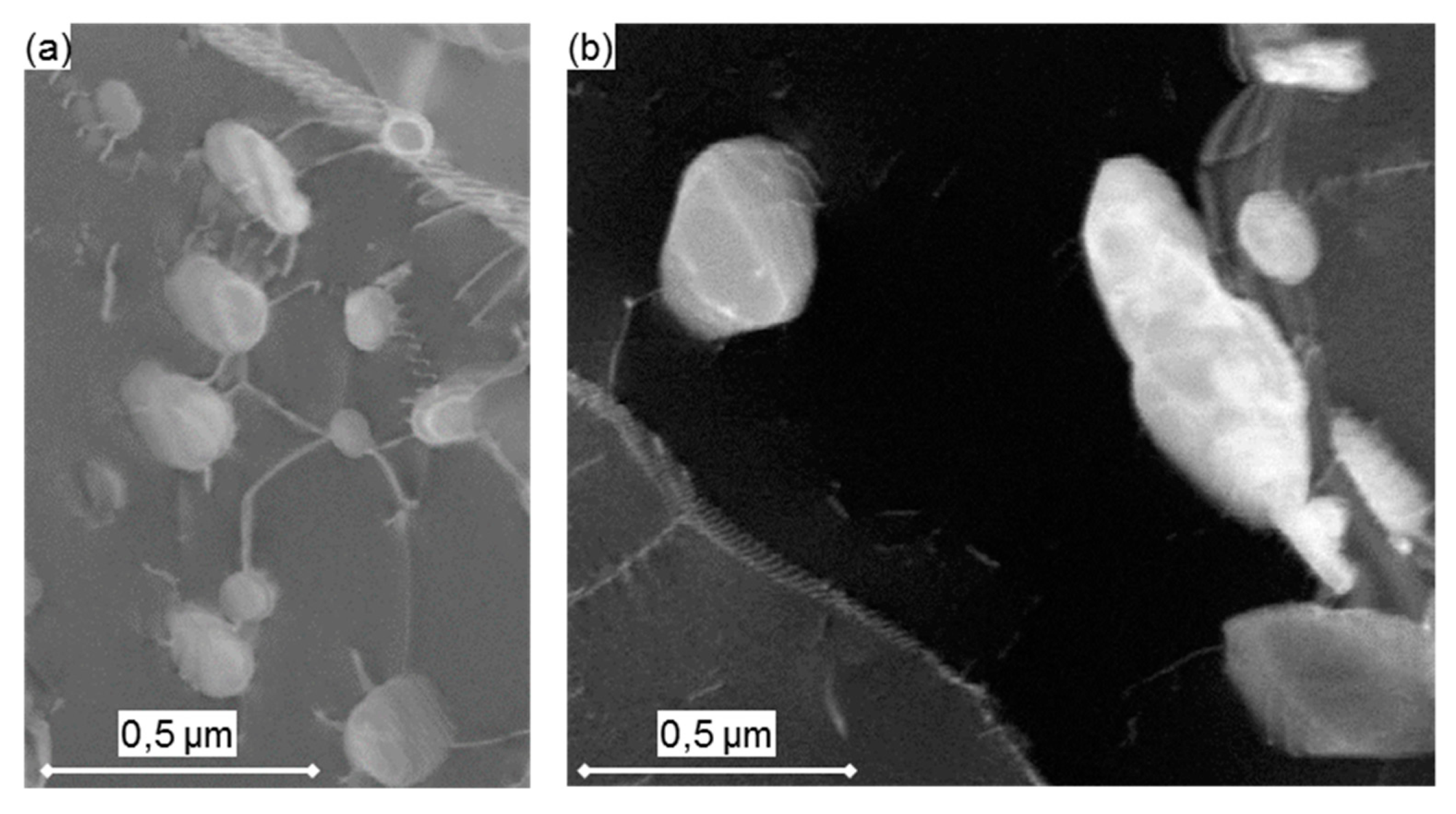 Materials 12 03106 g019 Materials 12 03106 g019