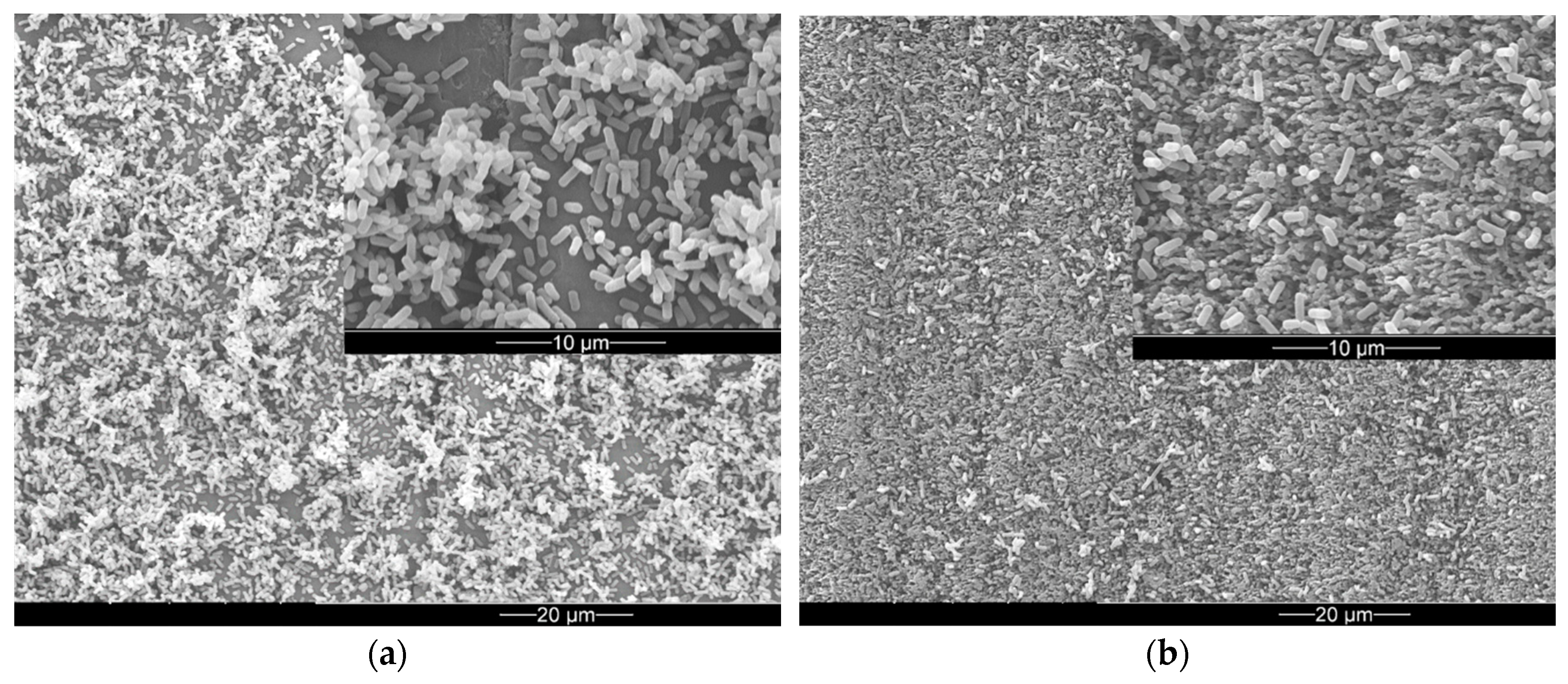 Materials 12 03107 g002 Materials 12 03107 g002