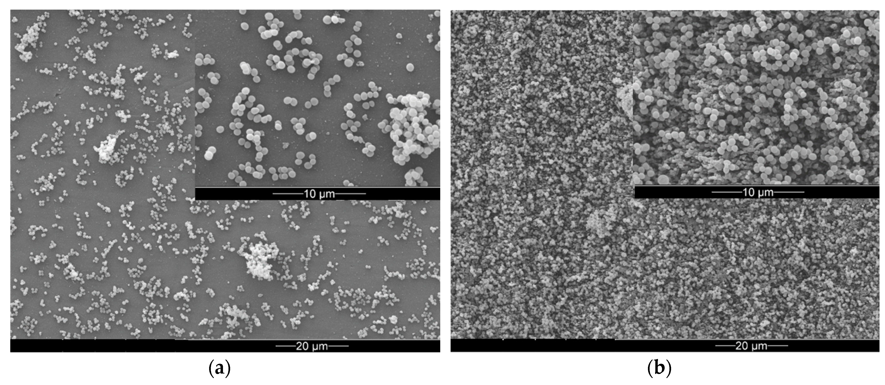 Materials 12 03107 g003 Materials 12 03107 g003