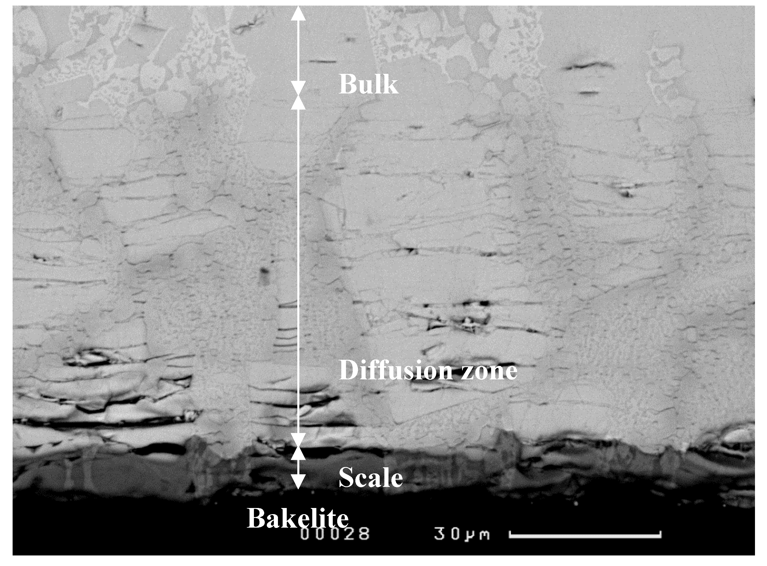 Materials 12 03120 g006