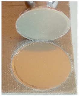 Materials 12 03137 i002