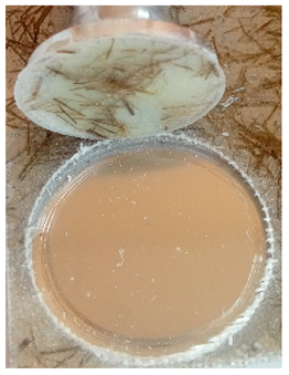 Materials 12 03137 i003