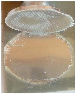 Materials 12 03137 i005