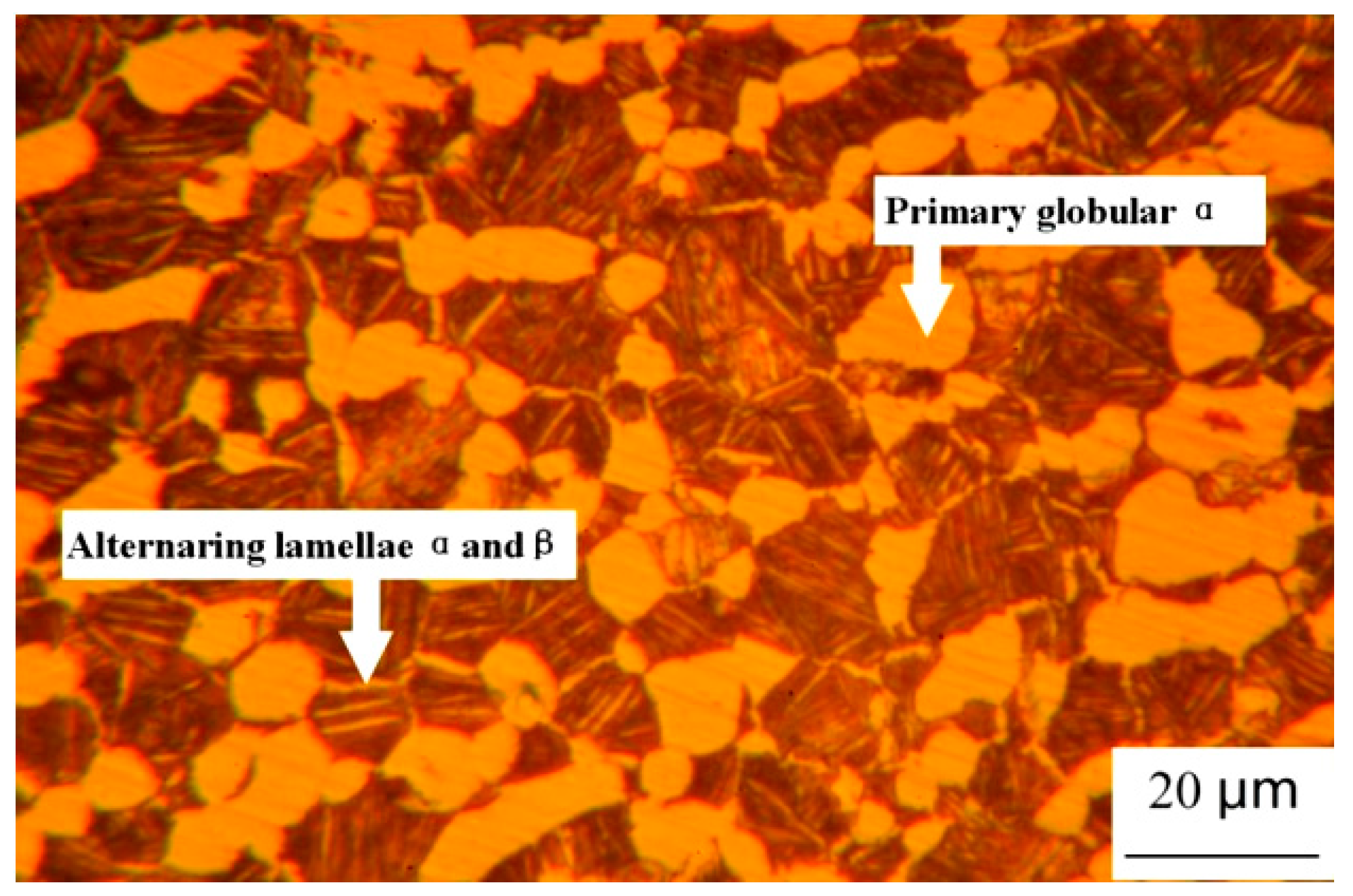 Materials 12 03138 g002 Materials 12 03138 g002