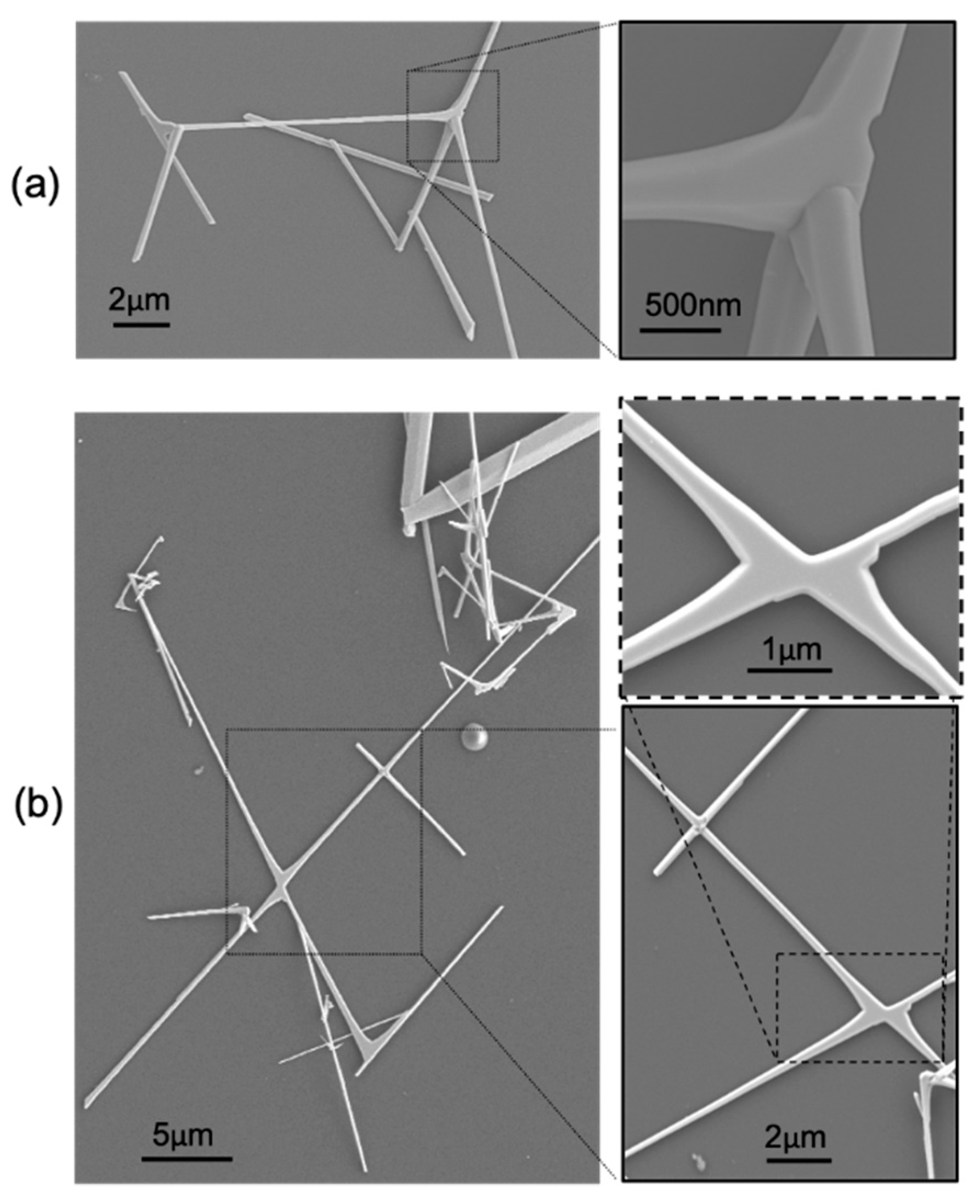 Materials 12 03148 g001