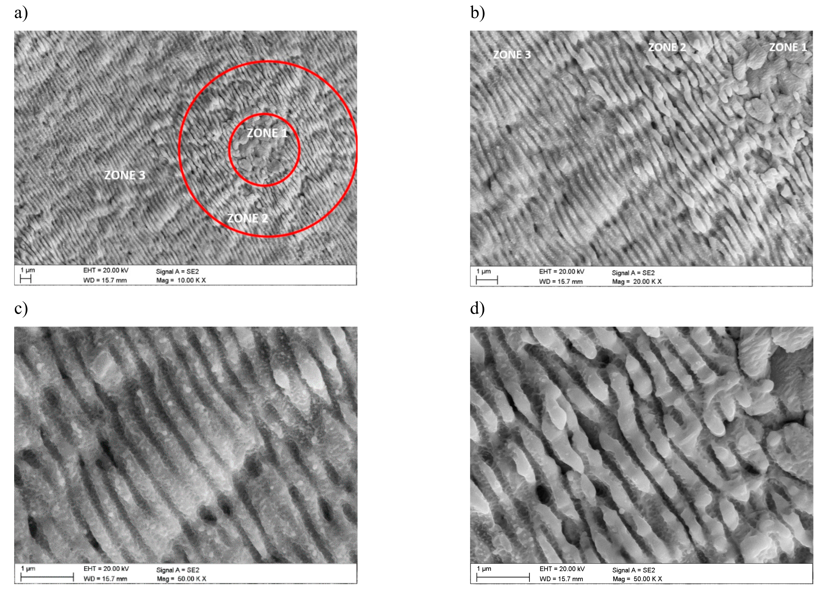 Materials 12 03152 g003a