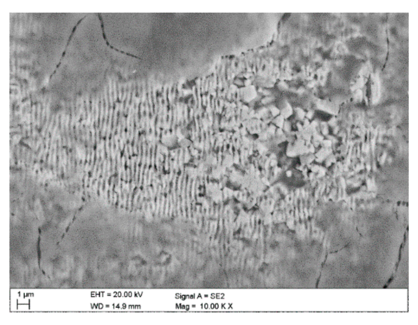 Materials 12 03152 g011