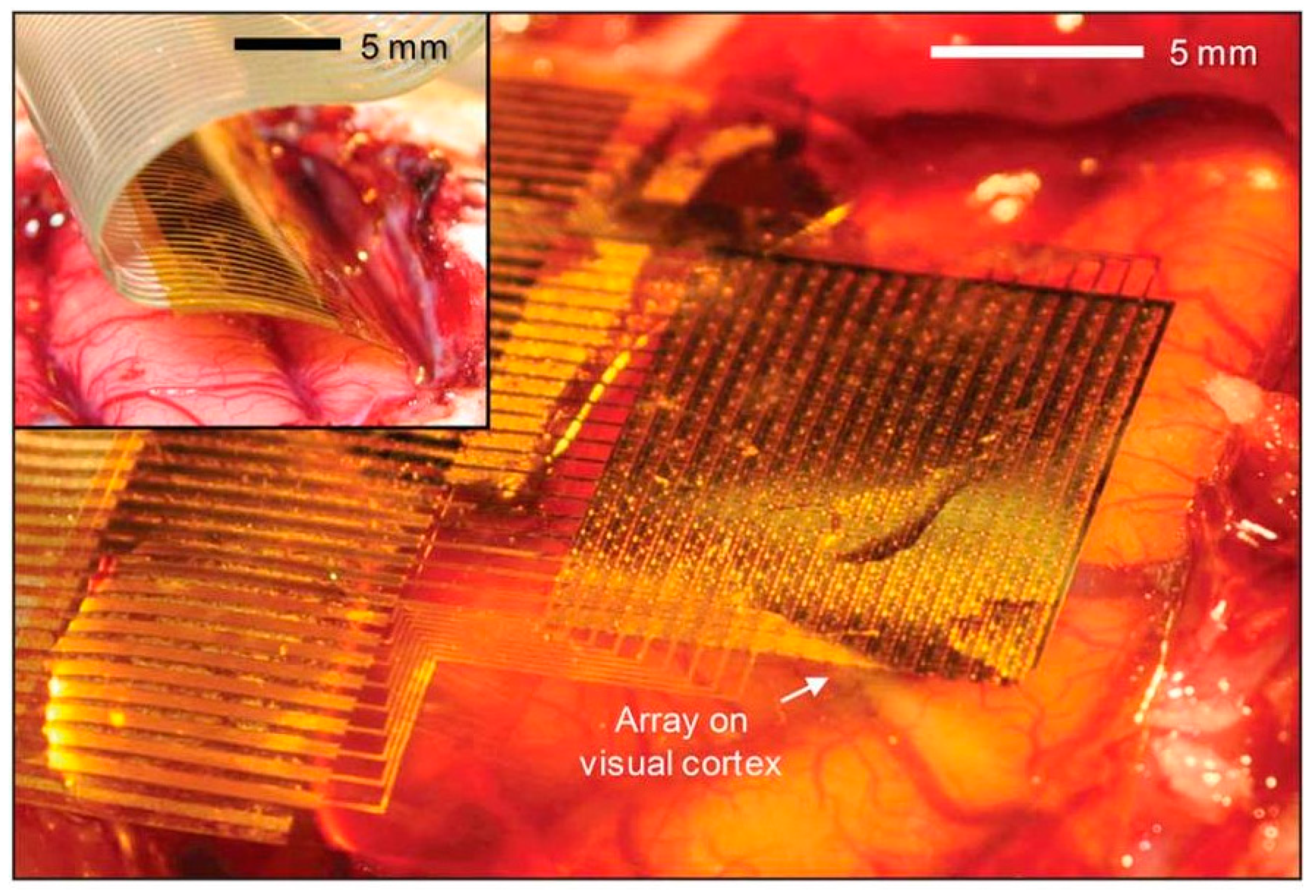 Materials 12 03166 g001
