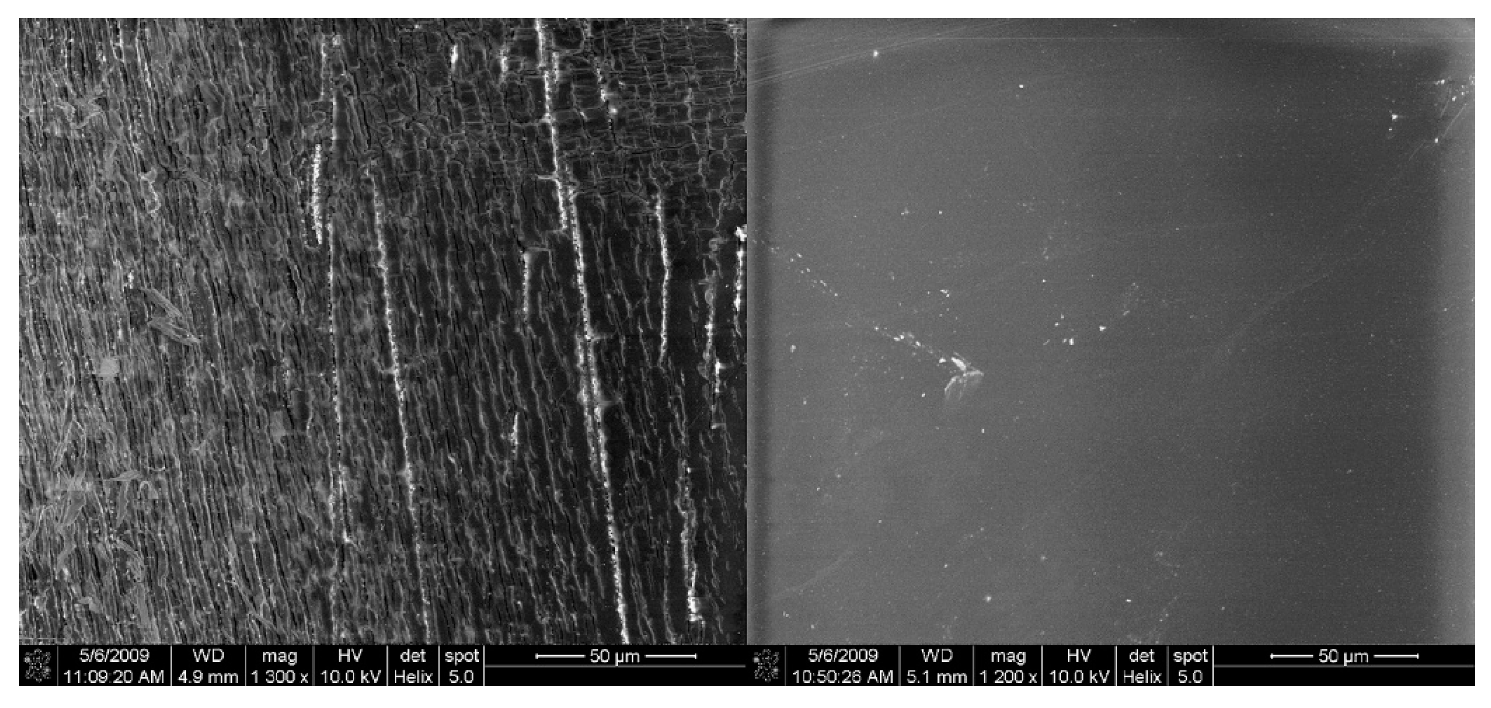Materials 12 03166 g003