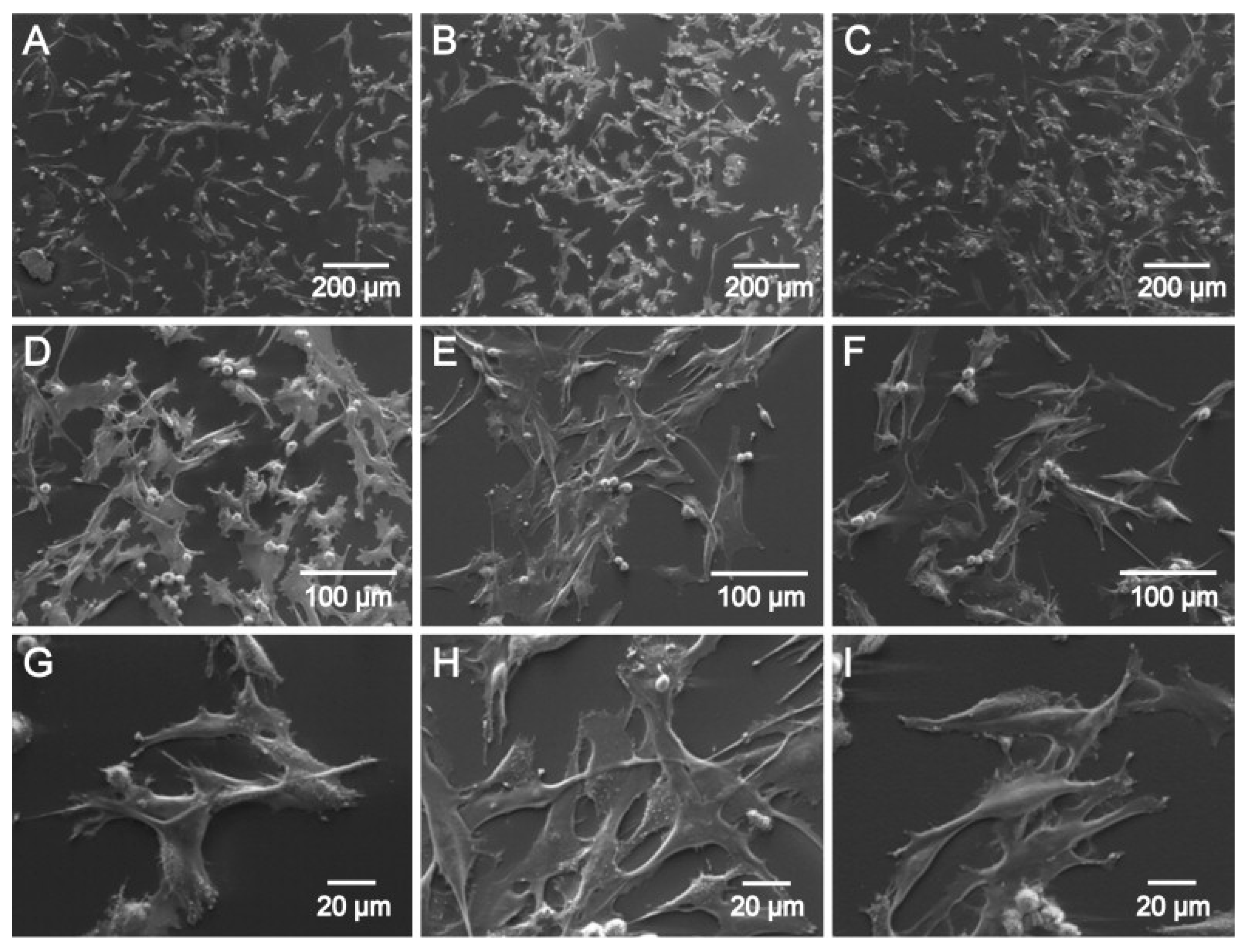 Materials 12 03166 g005