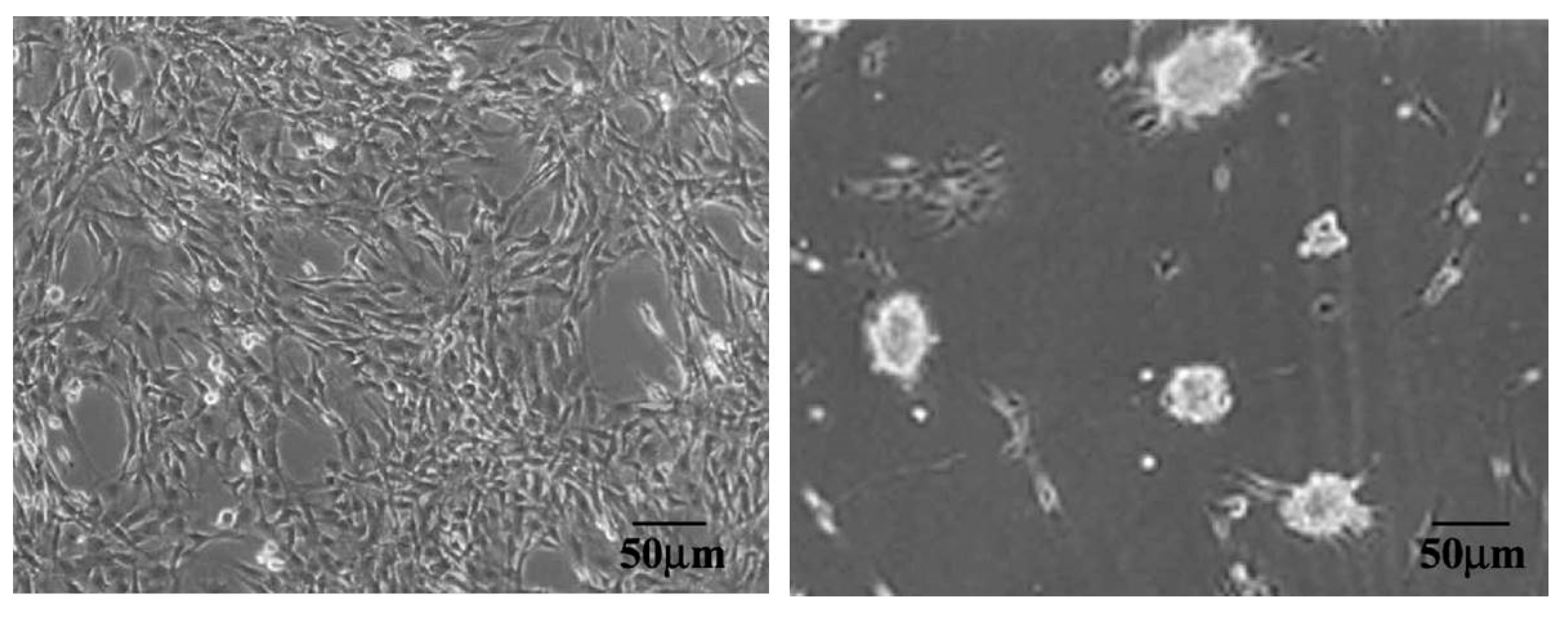 Materials 12 03166 g007