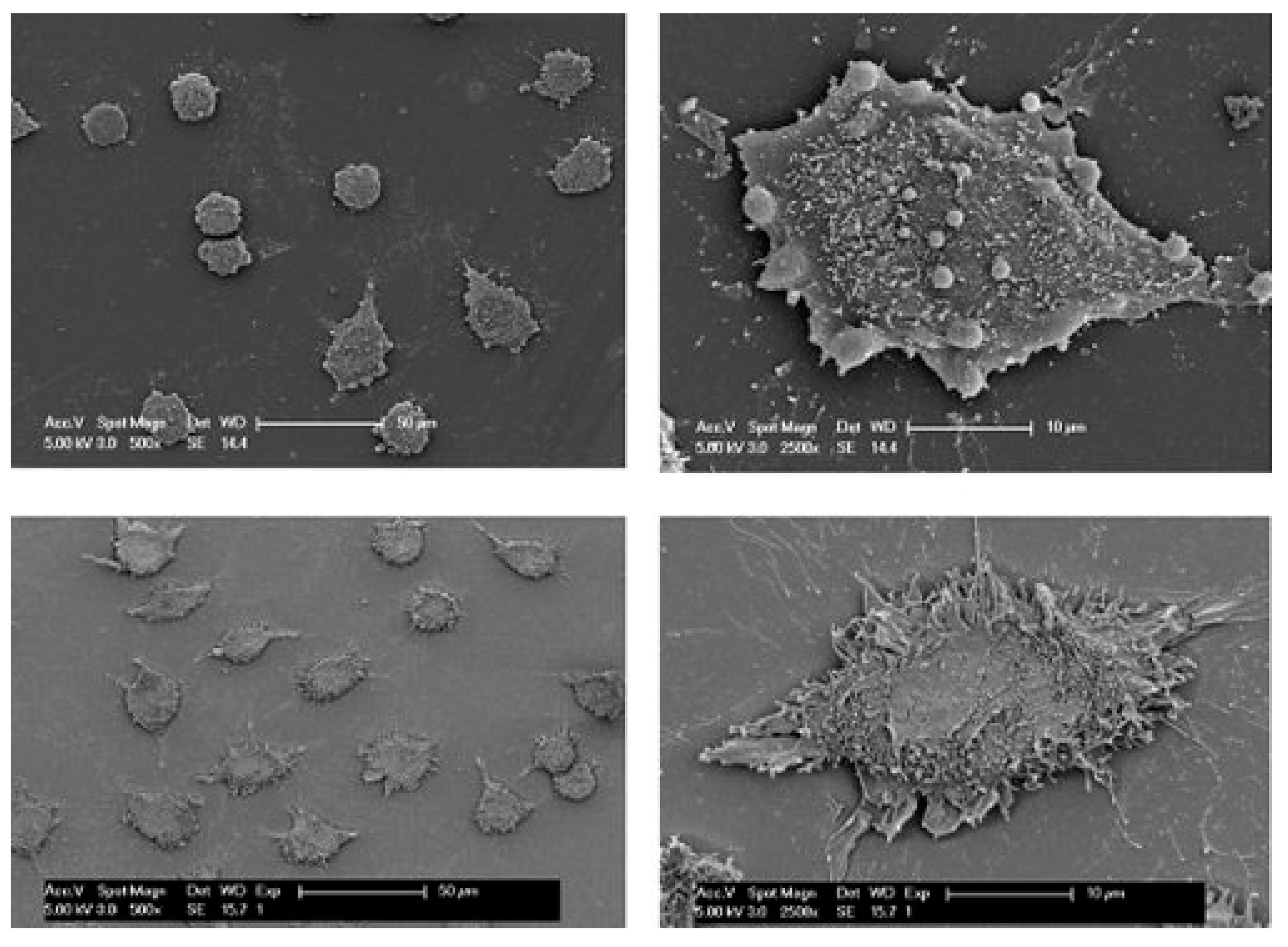 Materials 12 03166 g008