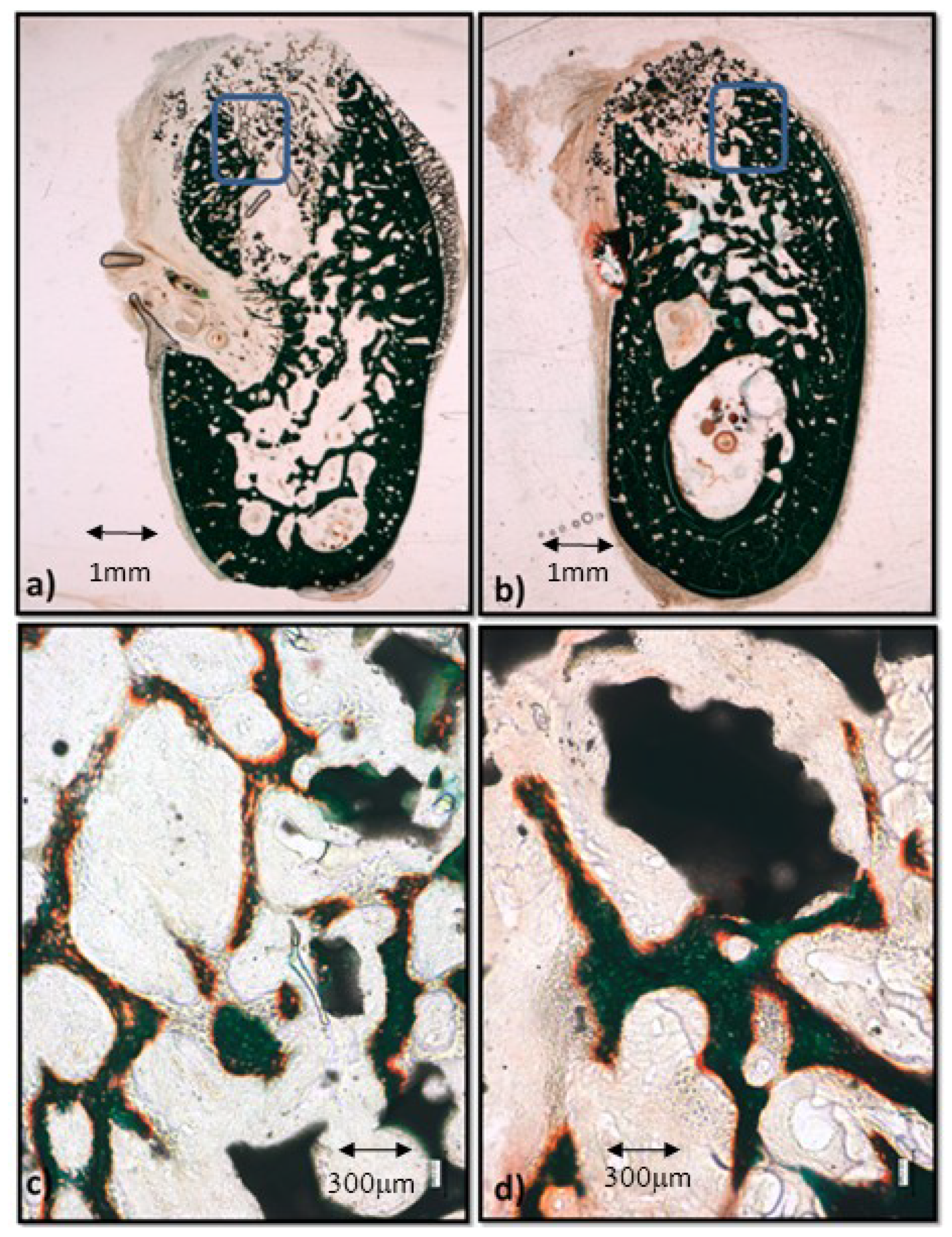 Materials 12 03168 g003