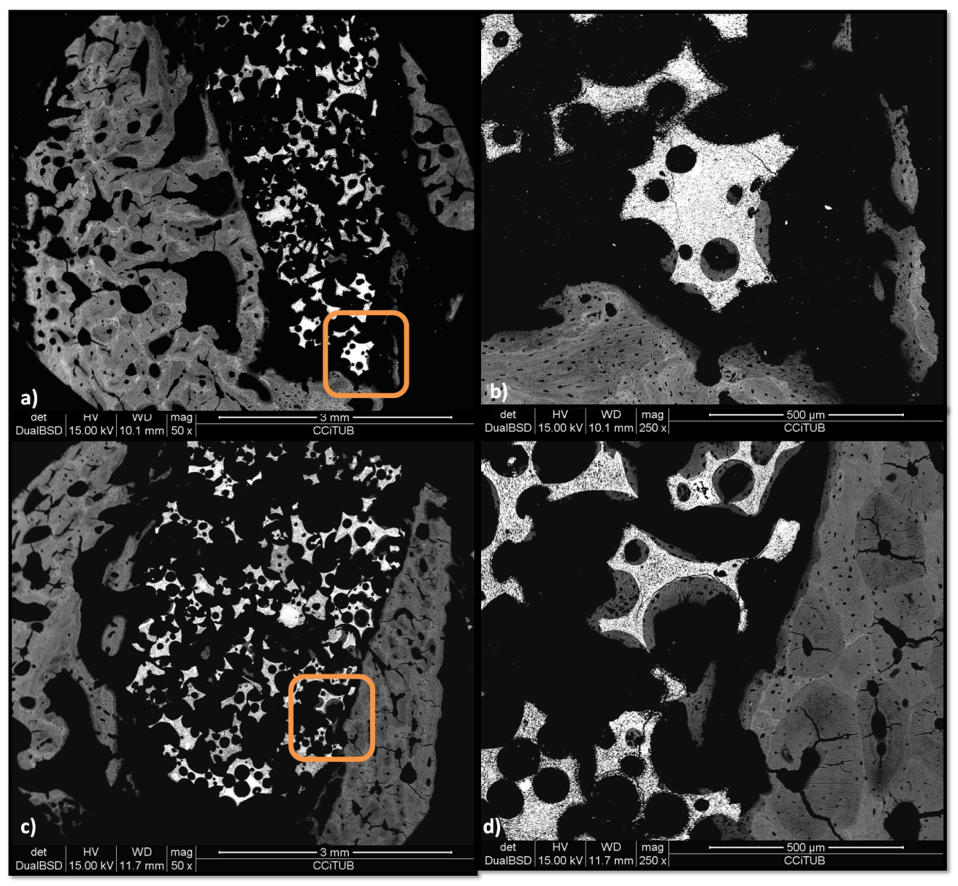 Materials 12 03168 g004