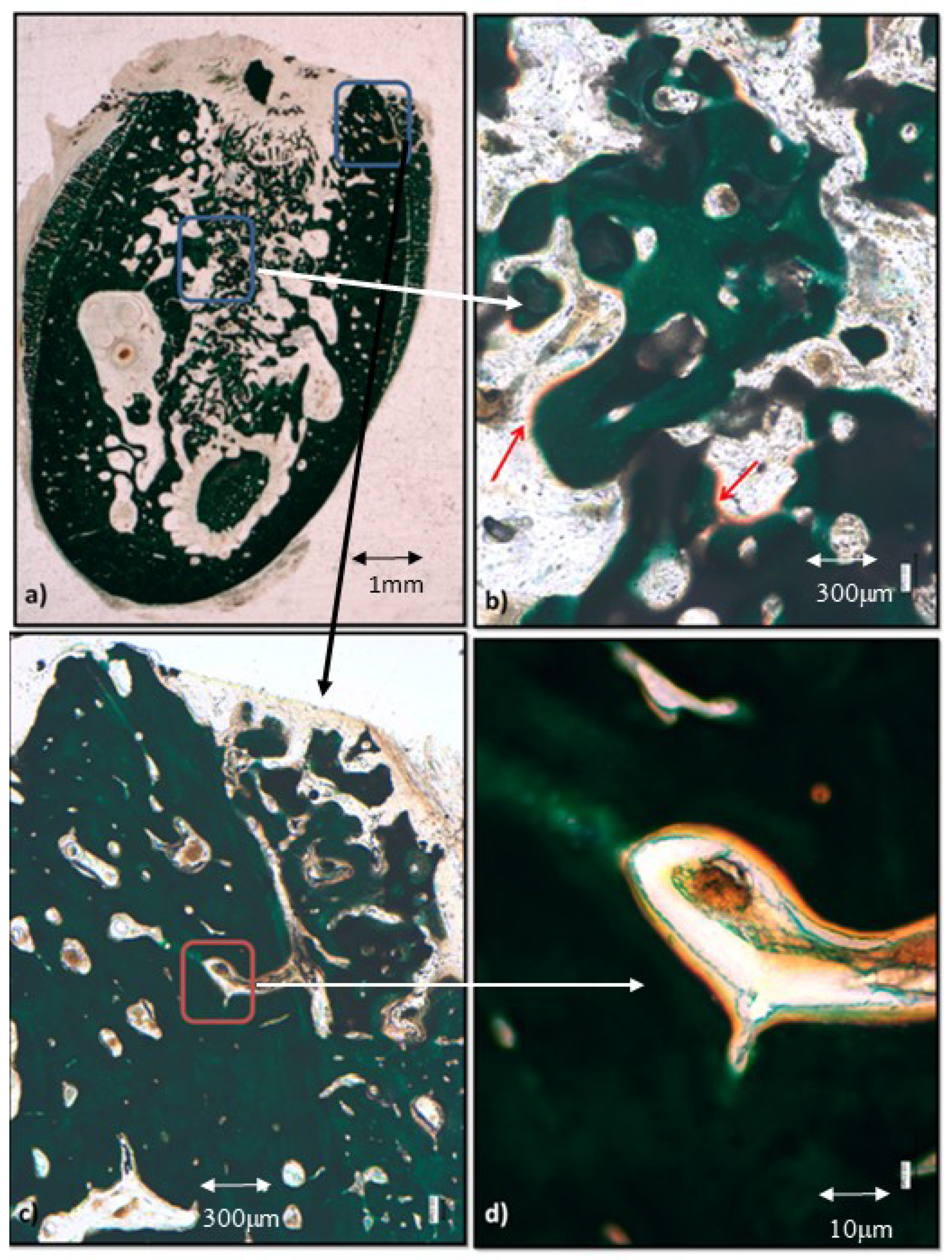 Materials 12 03168 g005