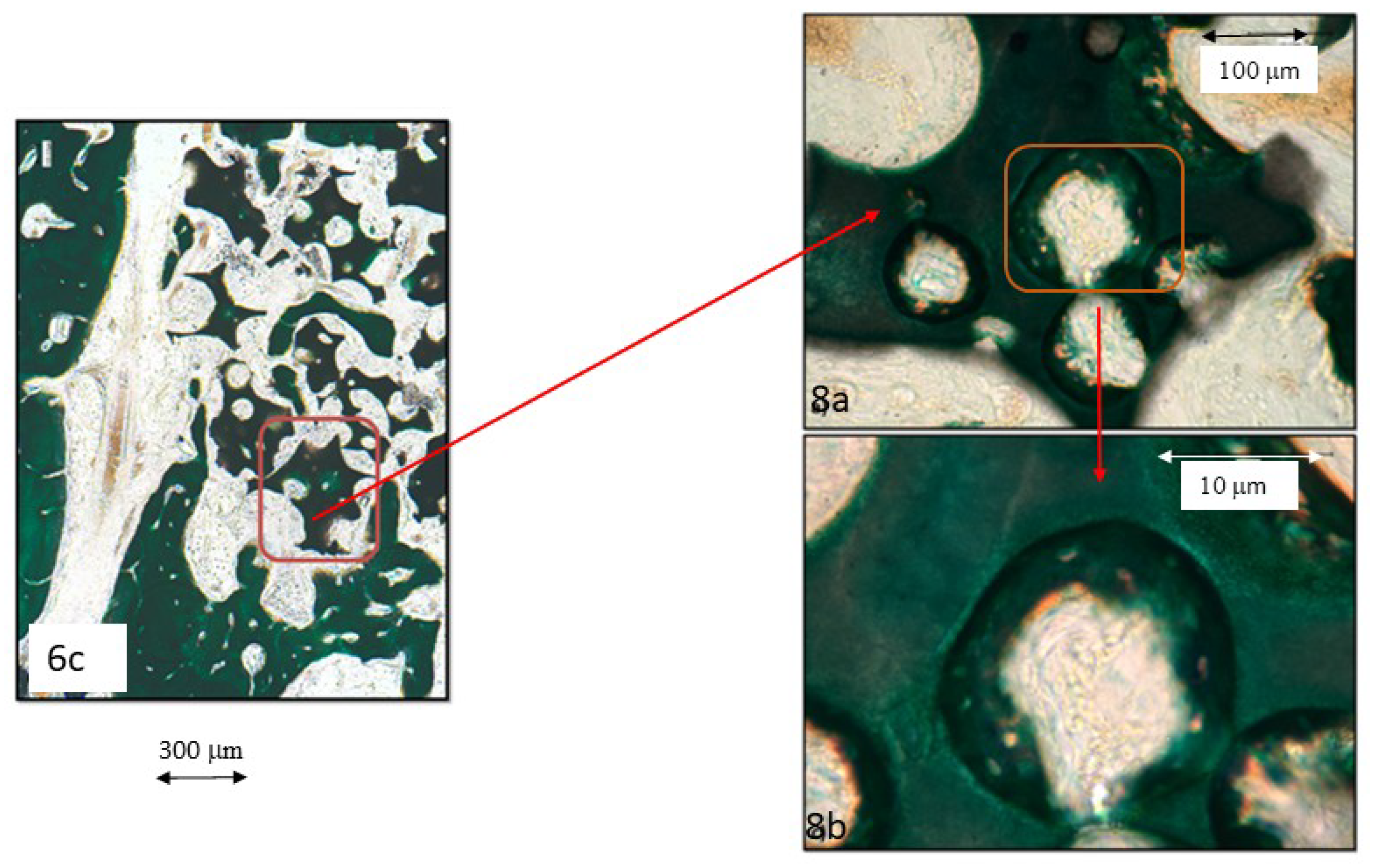 Materials 12 03168 g008