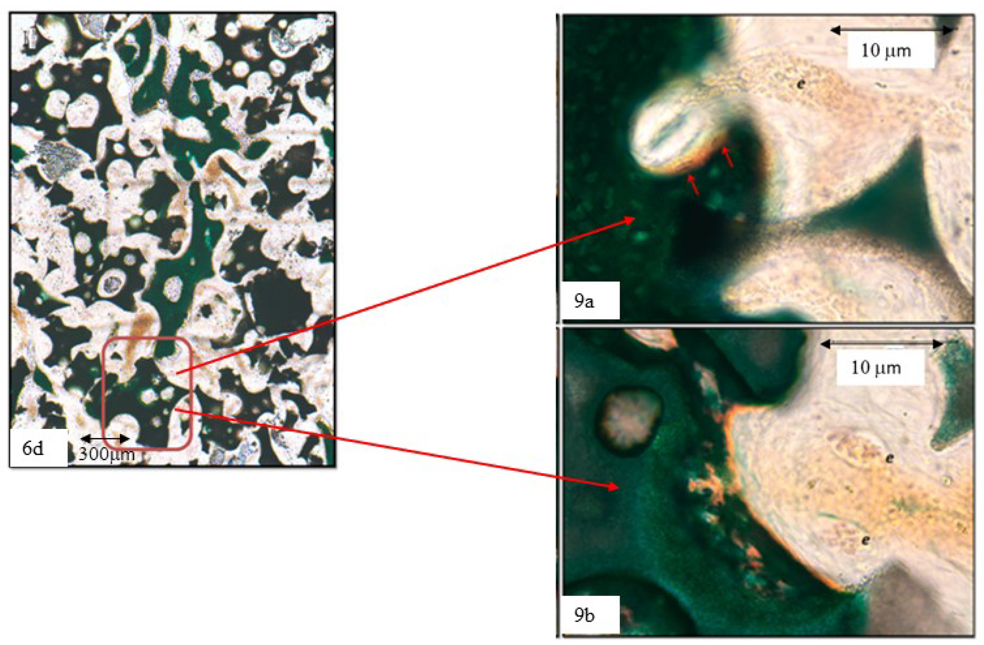 Materials 12 03168 g009