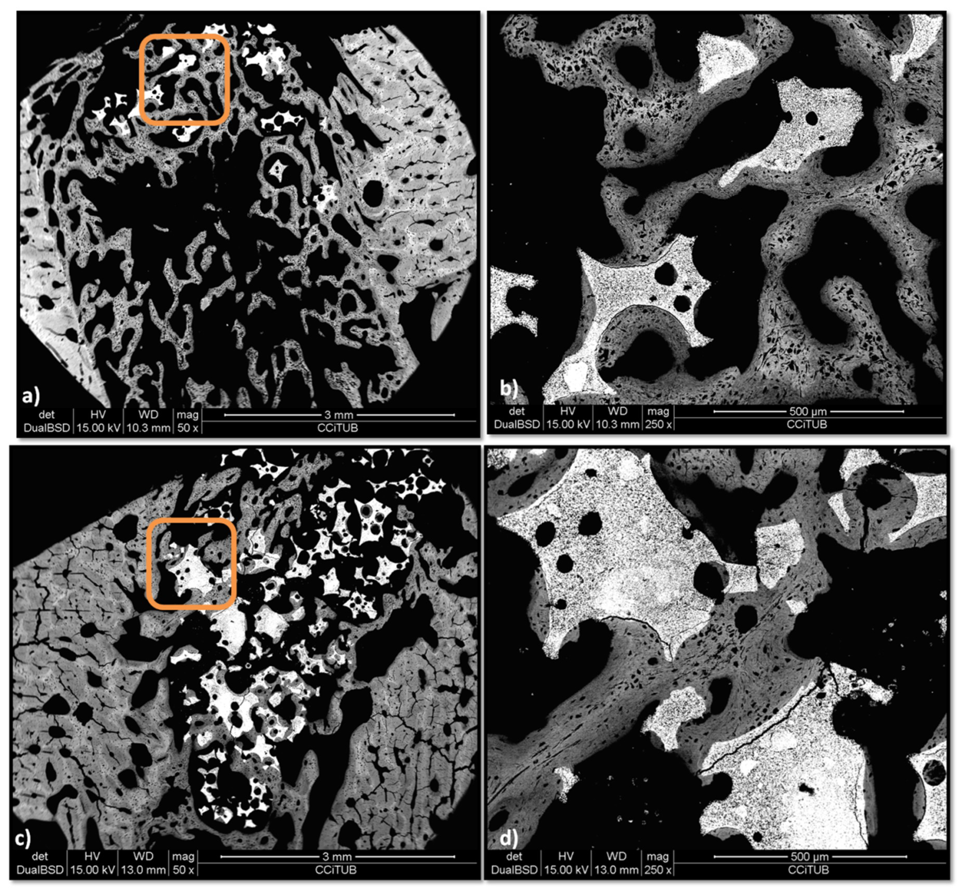 Materials 12 03168 g010