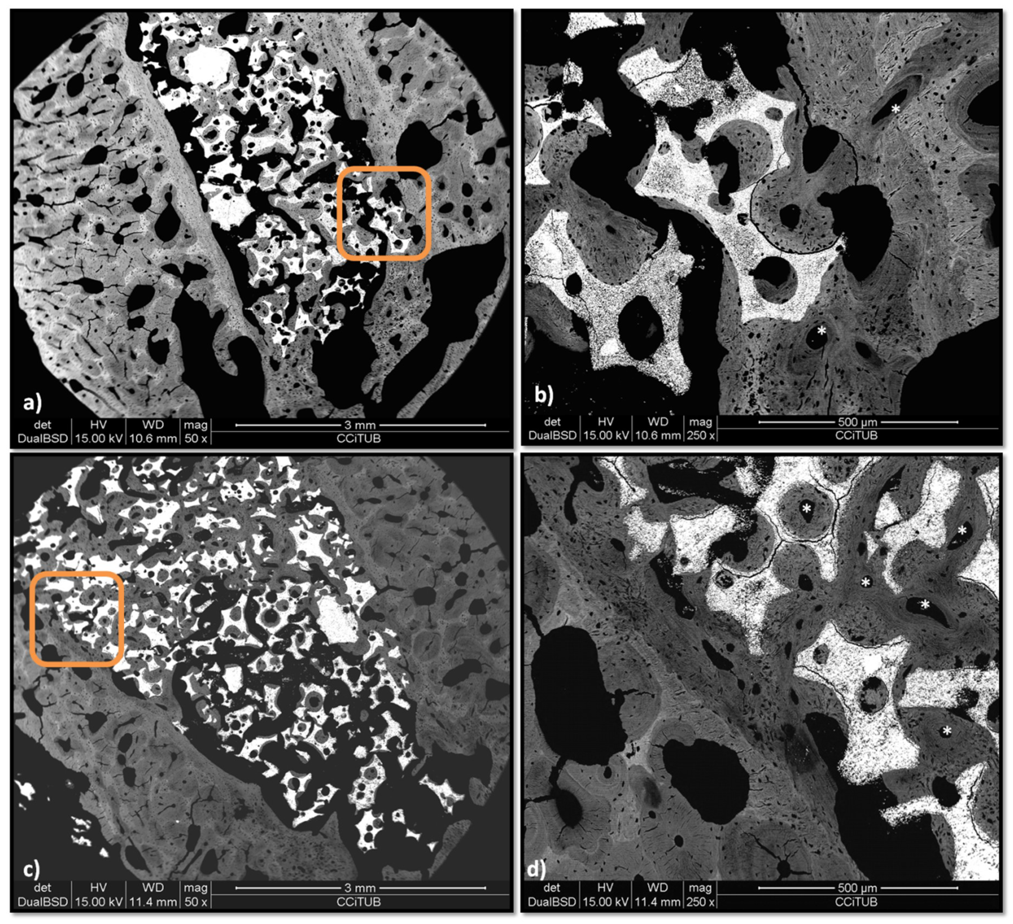 Materials 12 03168 g012