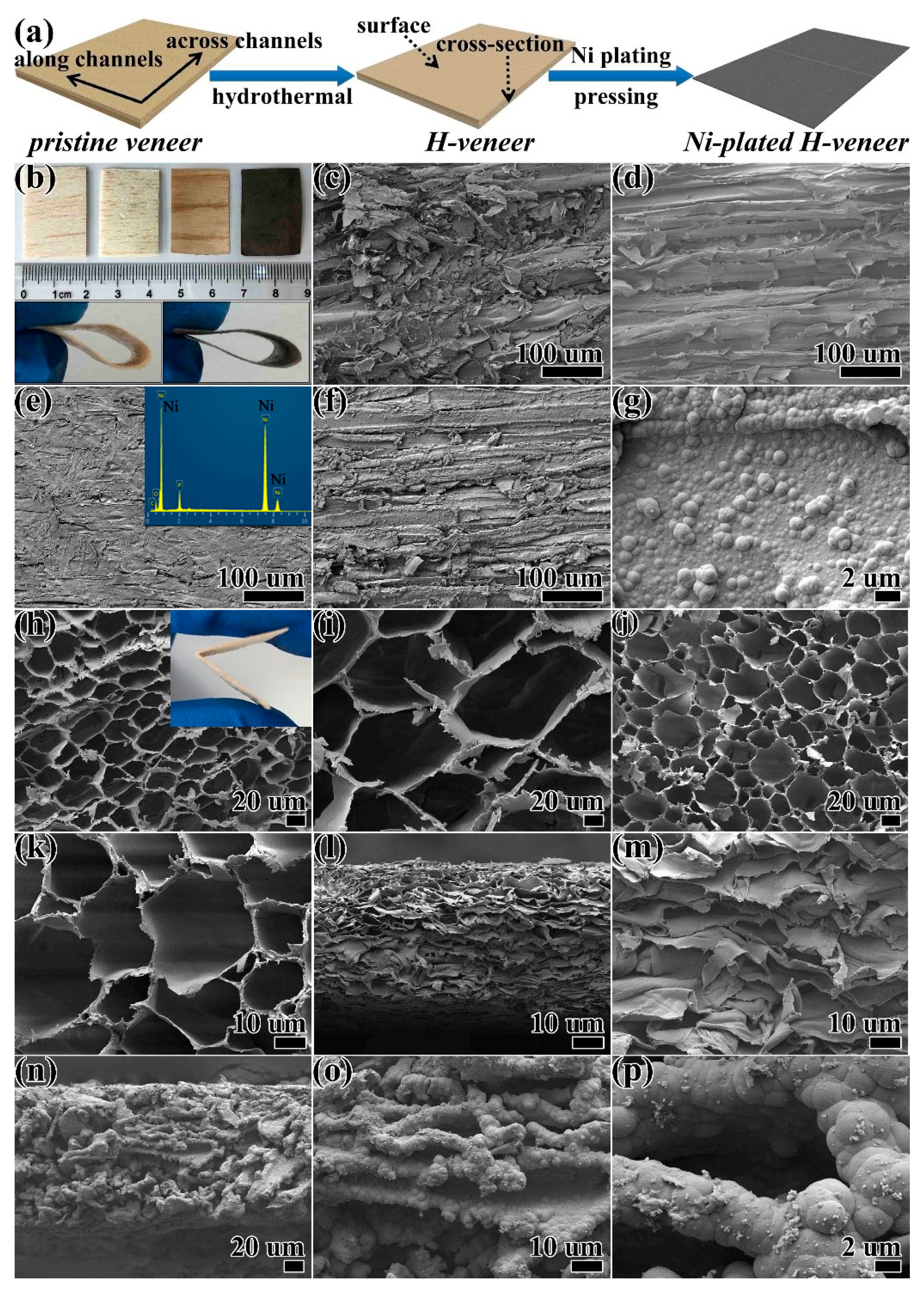 Materials 12 03198 g001