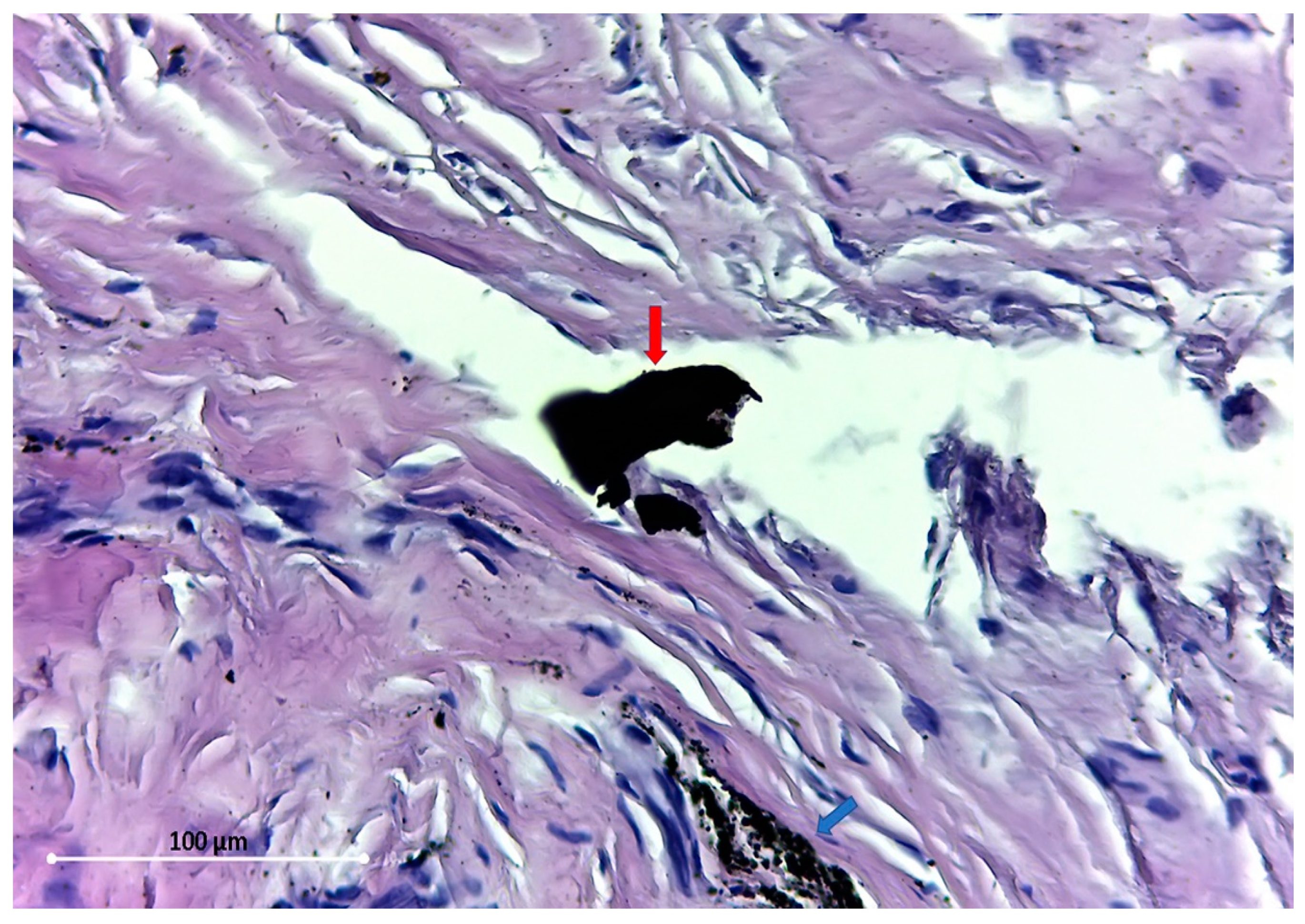 Materials 12 03205 g003