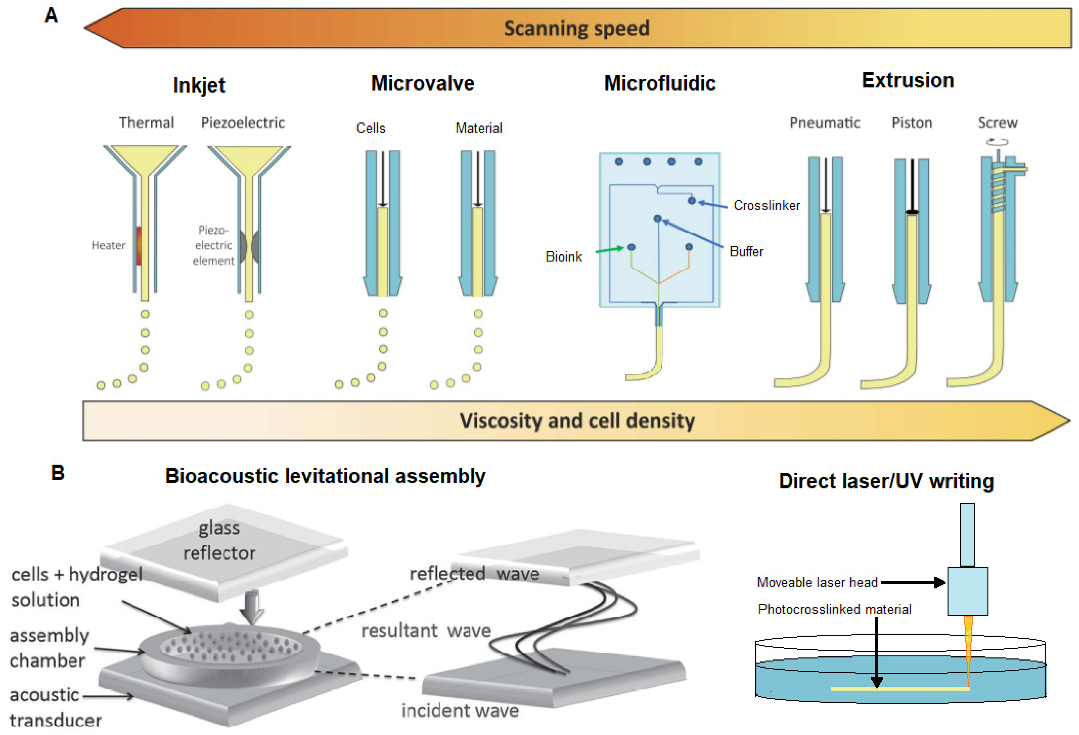 Materials 12 03218 g005 Materials 12 03218 g005
