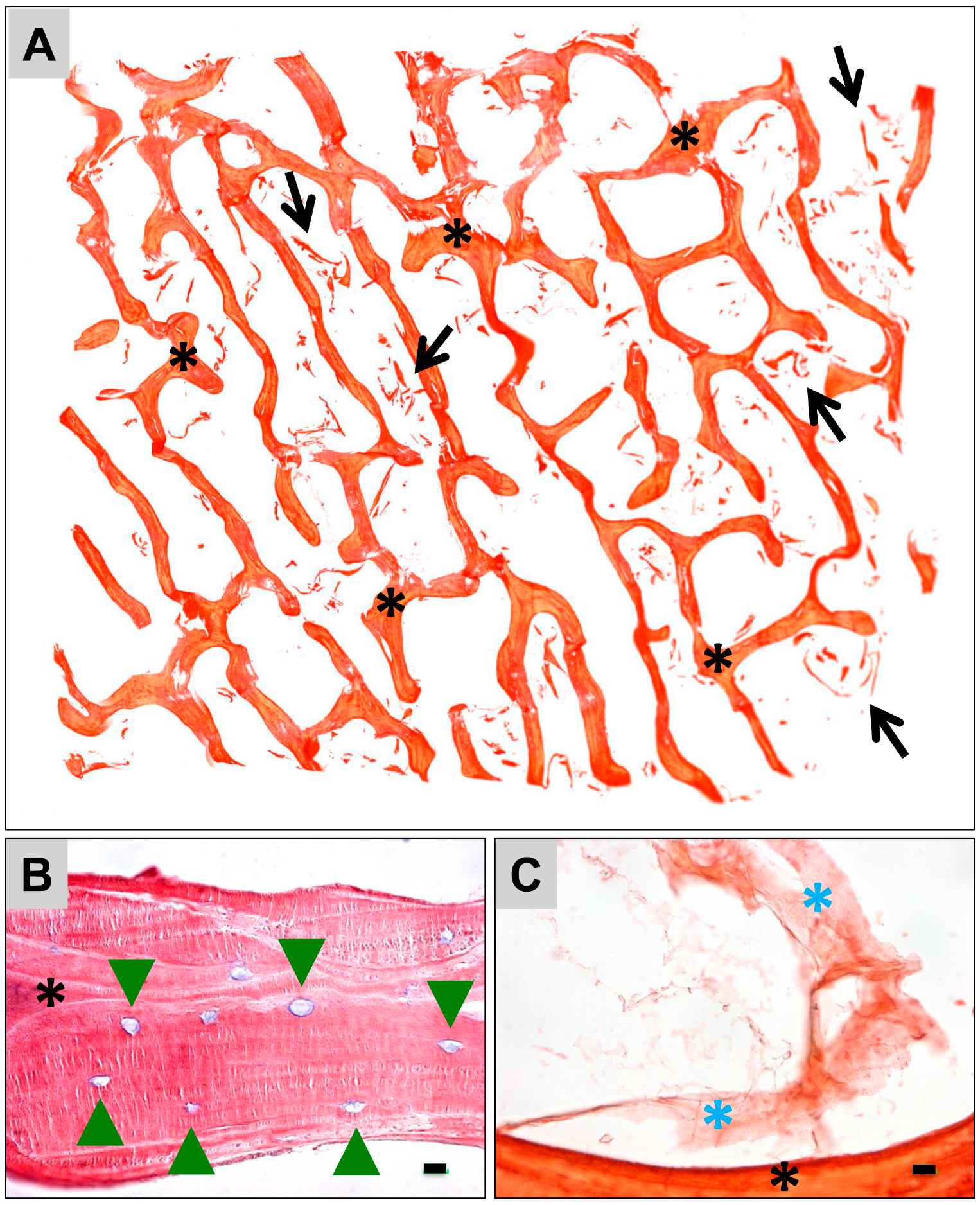 Materials 12 03234 g003 Materials 12 03234 g003