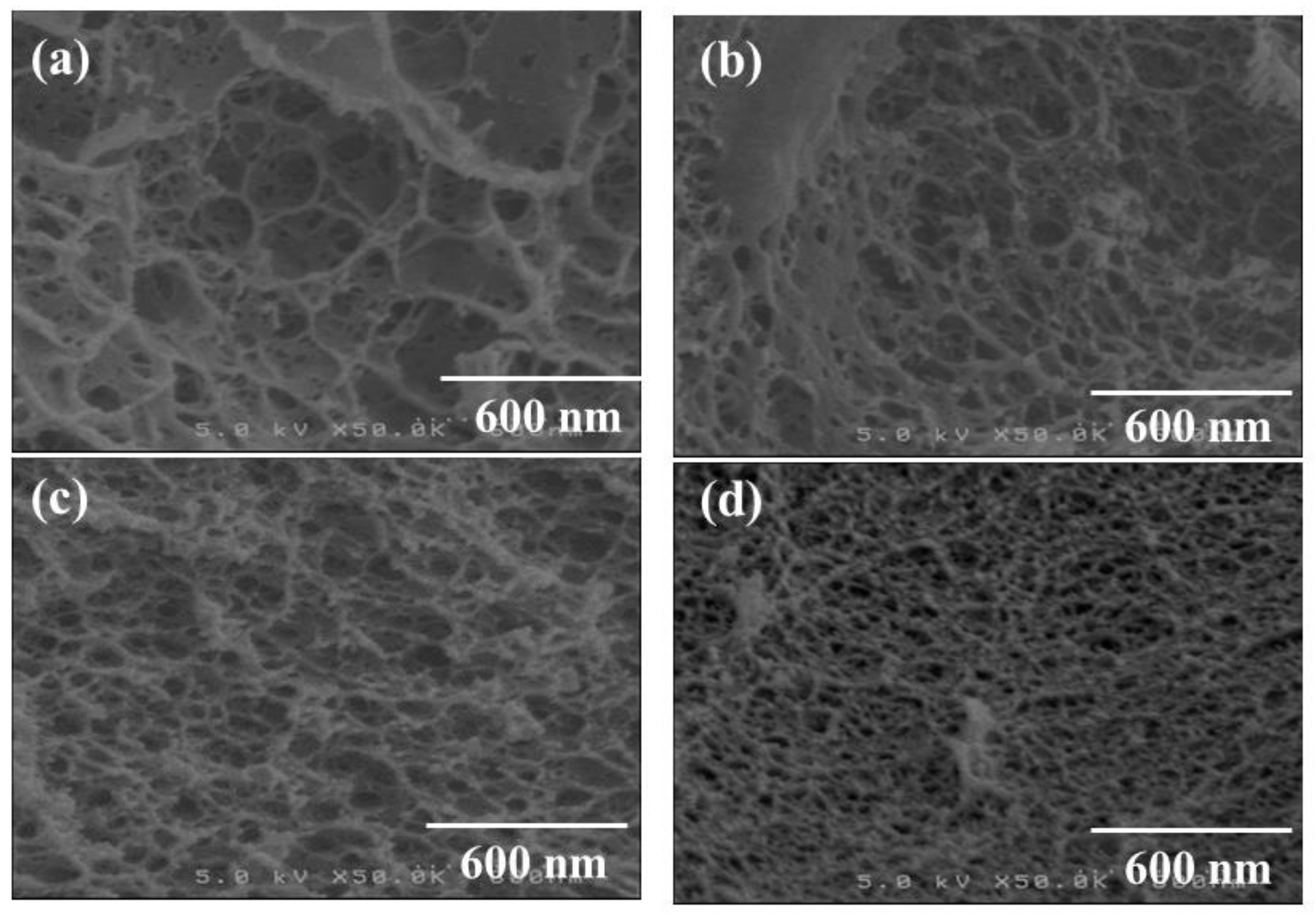 Materials 12 03249 g002