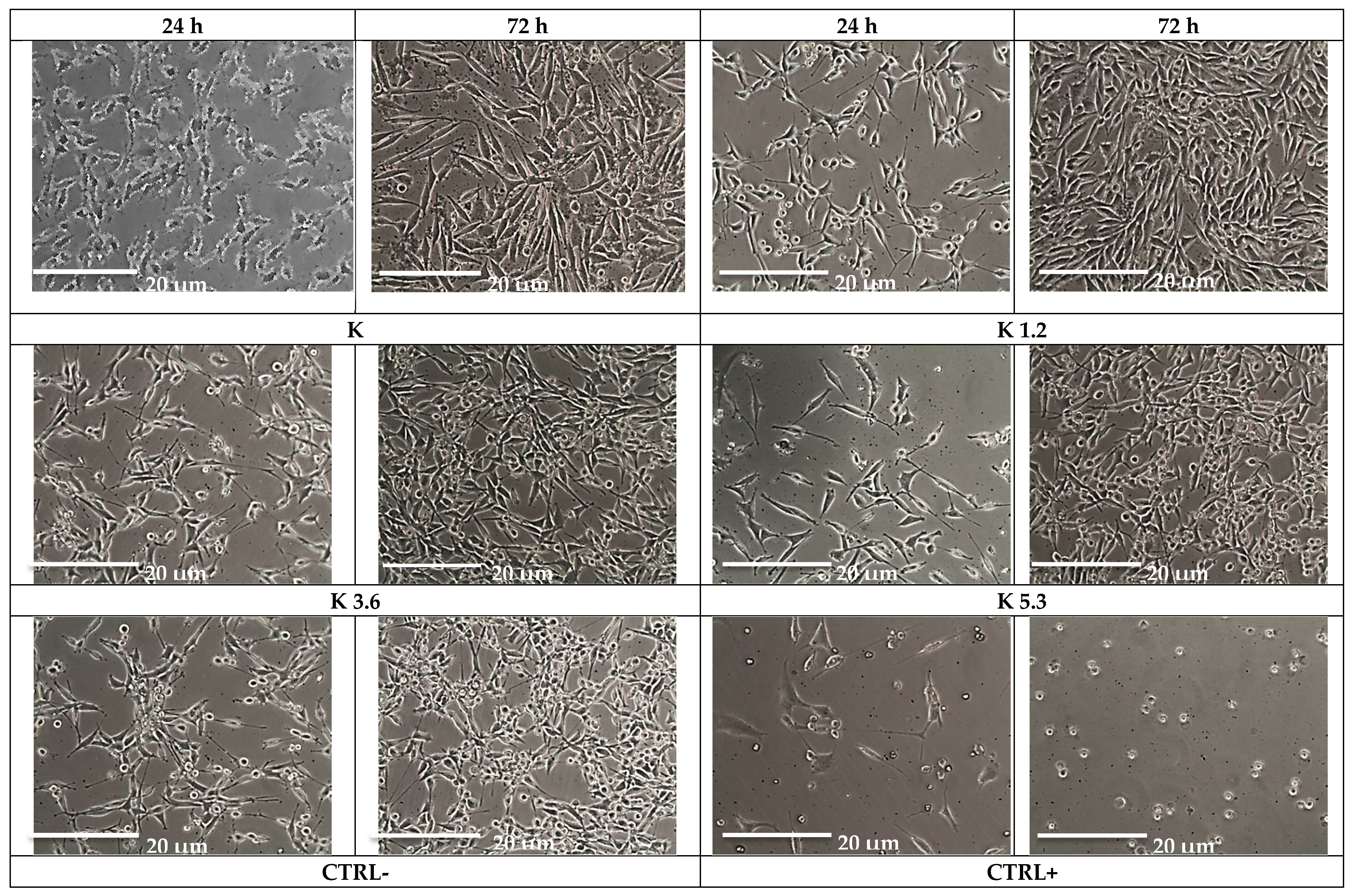 Materials 12 03267 g003 Materials 12 03267 g003