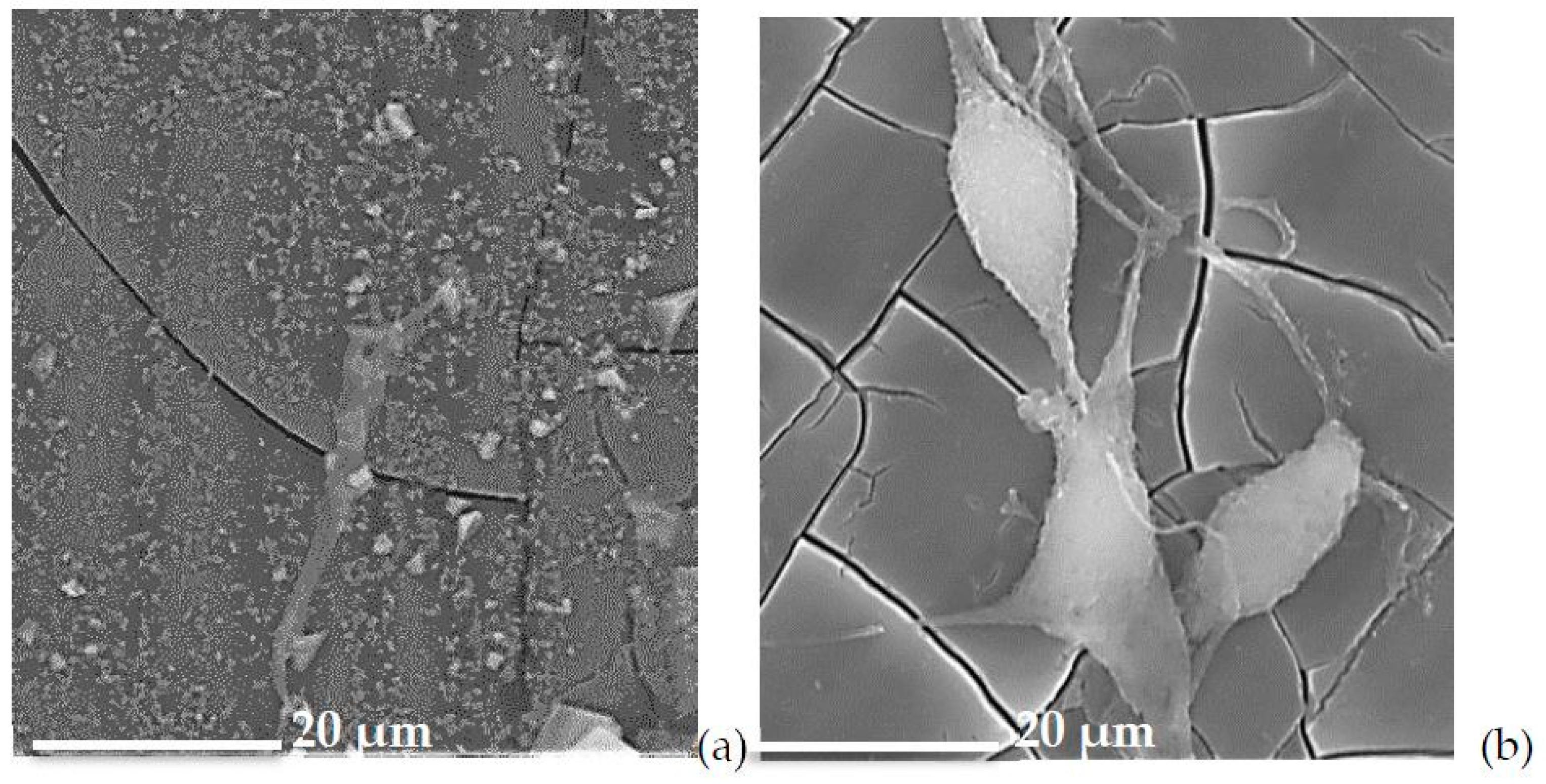 Materials 12 03267 g007 Materials 12 03267 g007