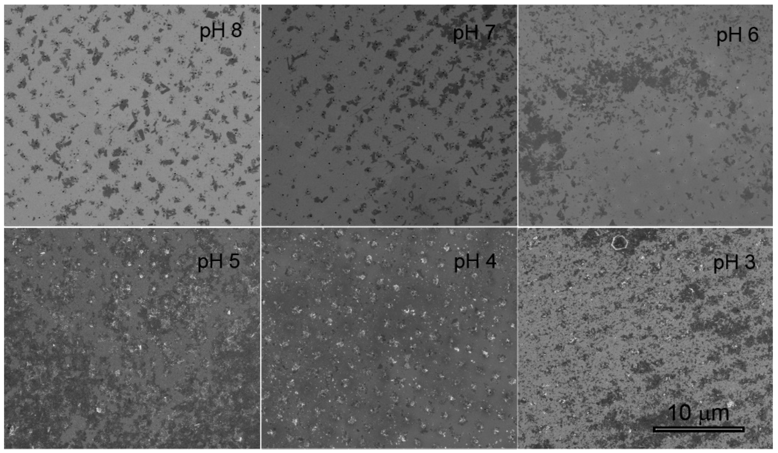 Materials 12 03286 g002