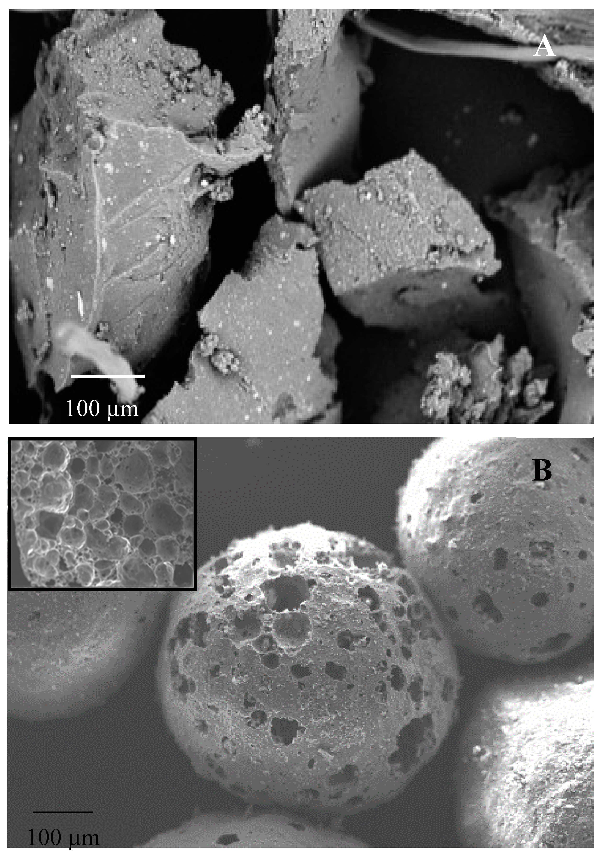 Materials 12 03289 g001 Materials 12 03289 g001