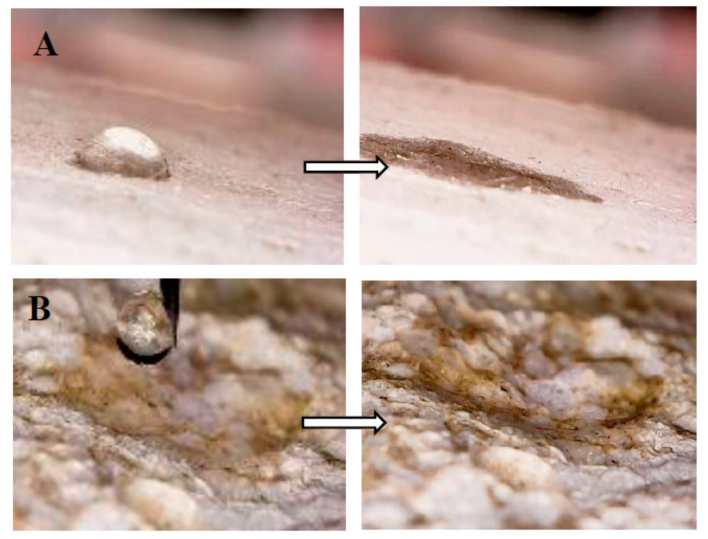 Materials 12 03289 g010a Materials 12 03289 g010a