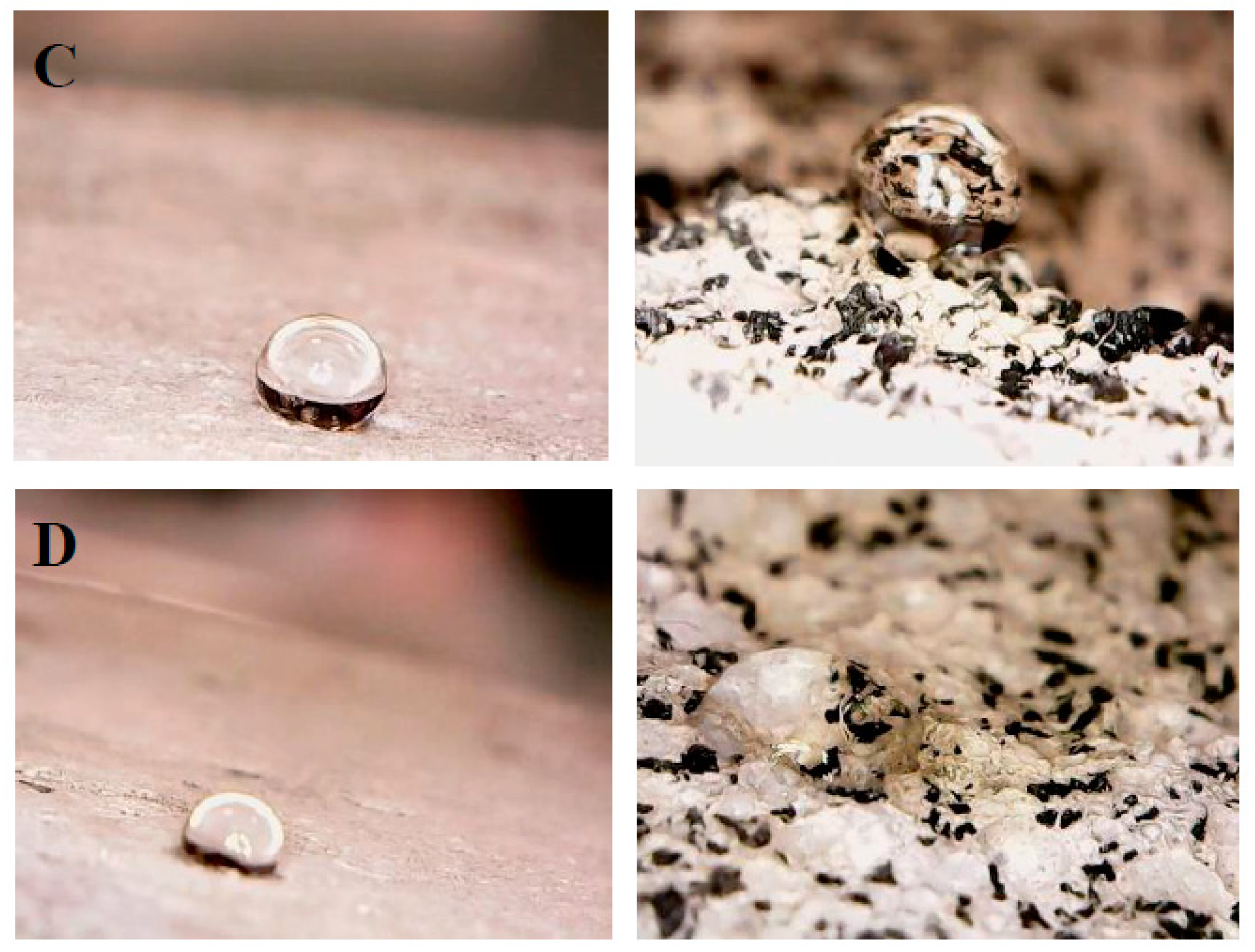 Materials 12 03289 g010b Materials 12 03289 g010b