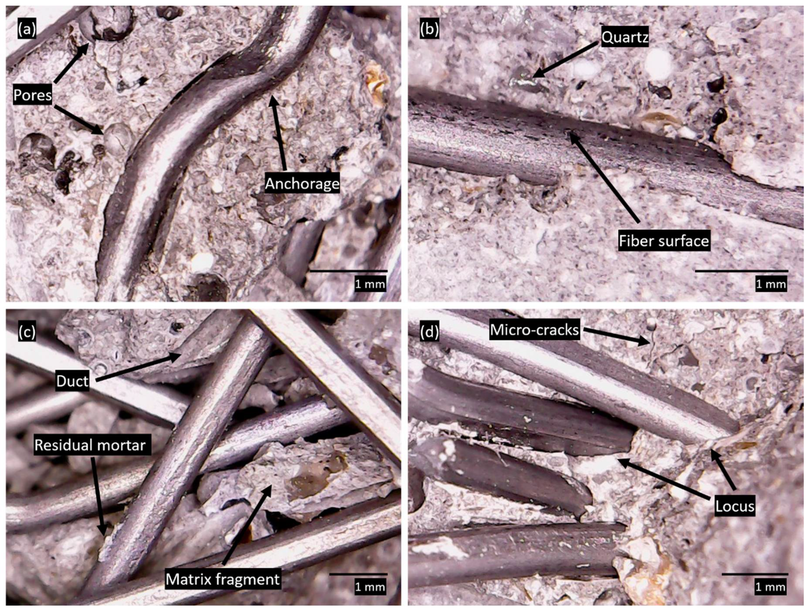 Materials 12 03297 g004