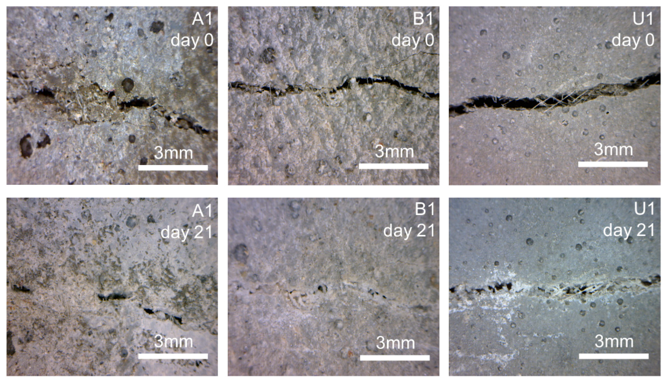 Materials 12 03298 g005