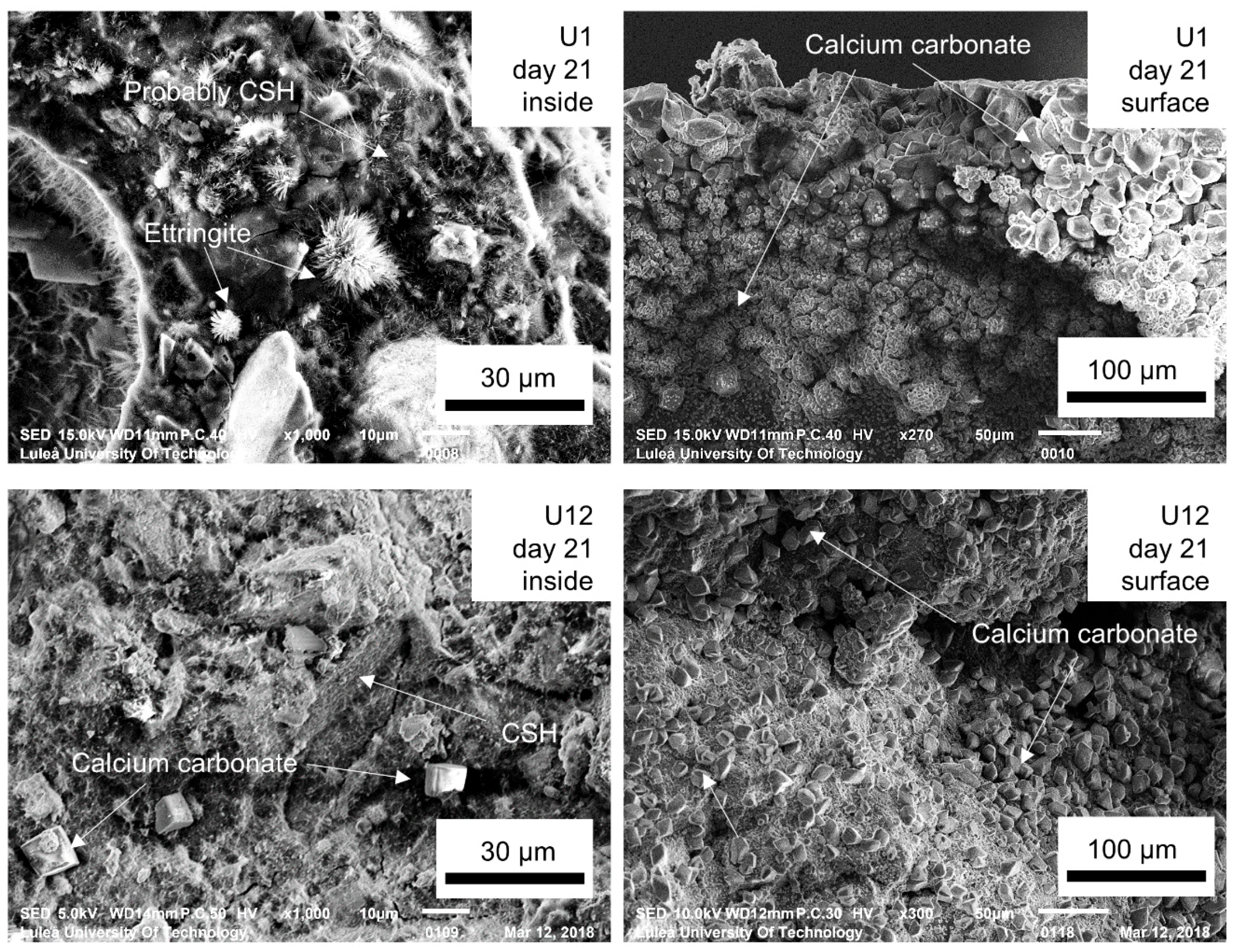 Materials 12 03298 g012