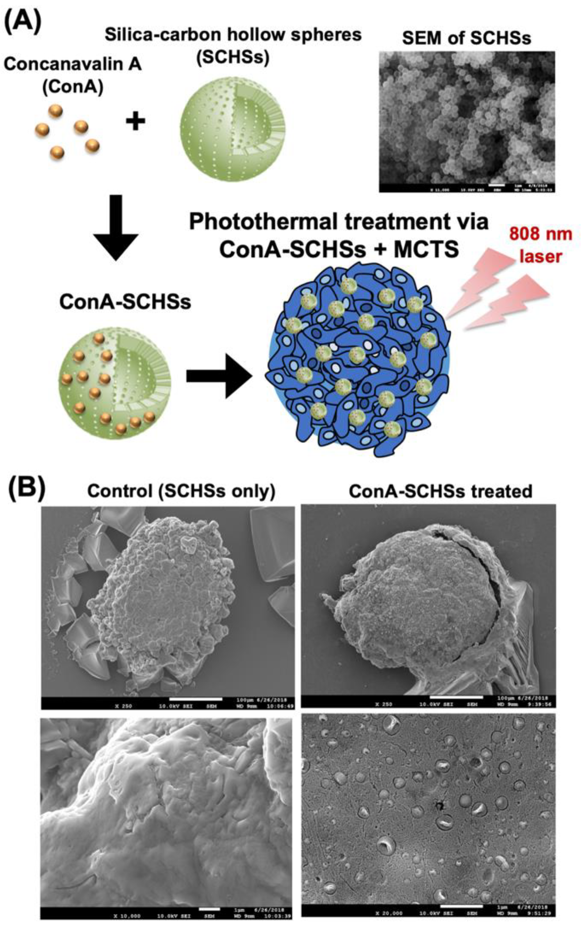 Materials 12 03308 g005