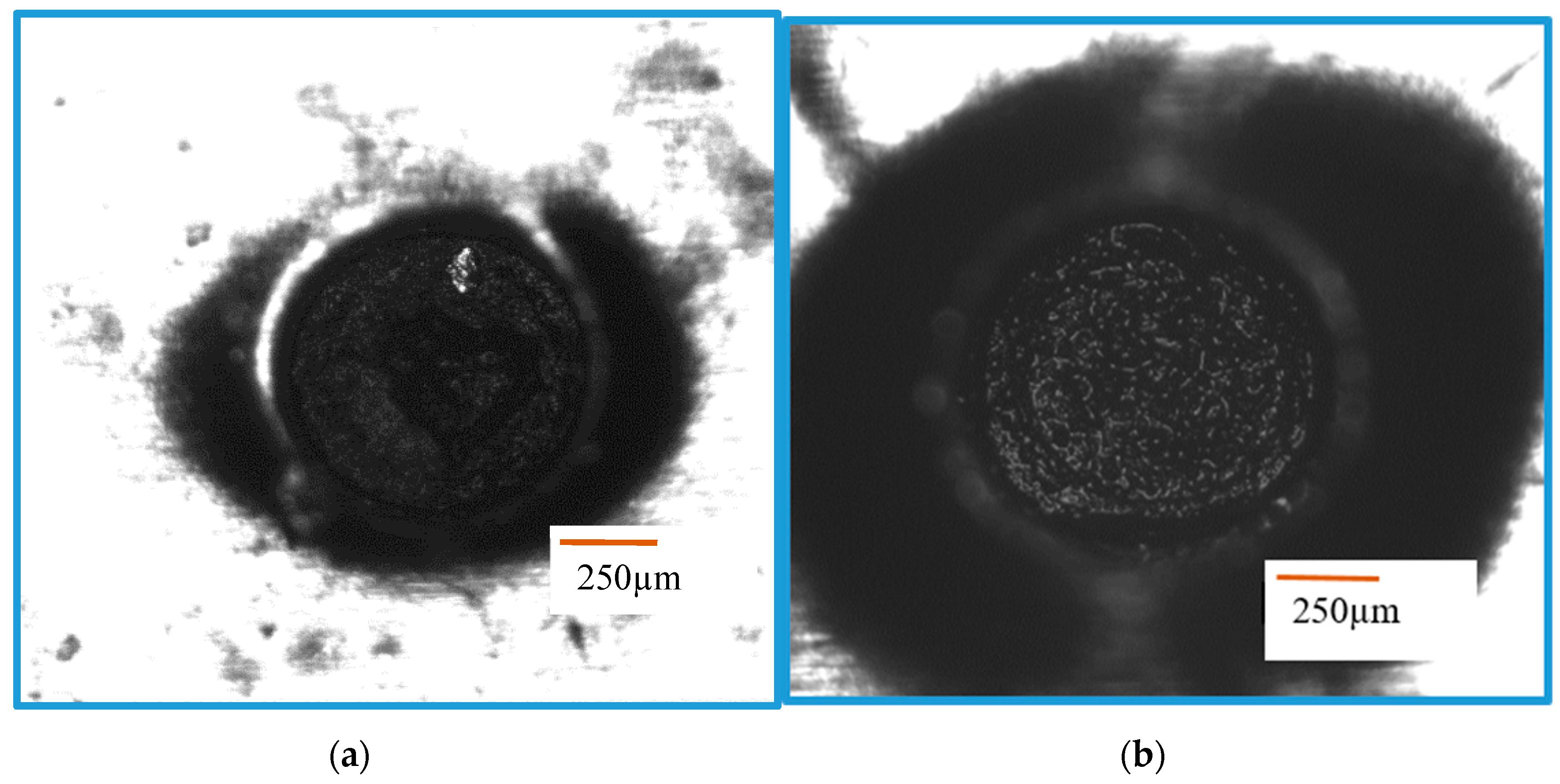 Materials 12 03316 g003a 550
