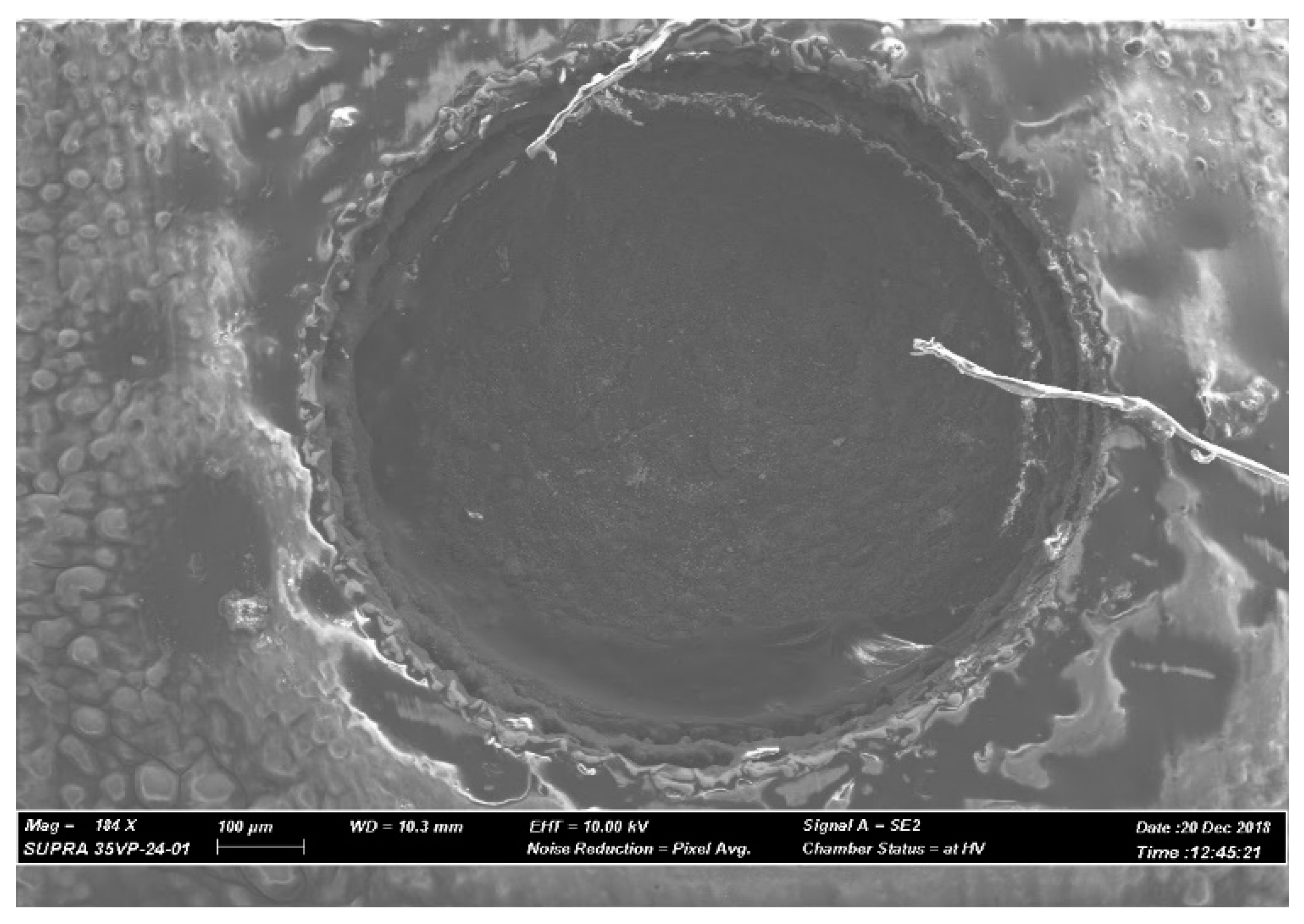 Materials 12 03316 g009 550