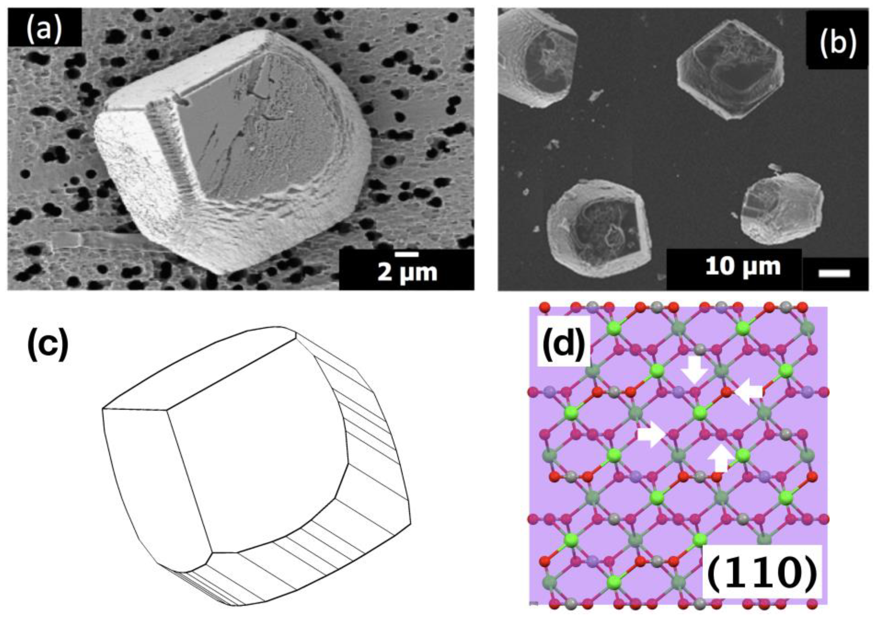 Materials 12 03339 g007