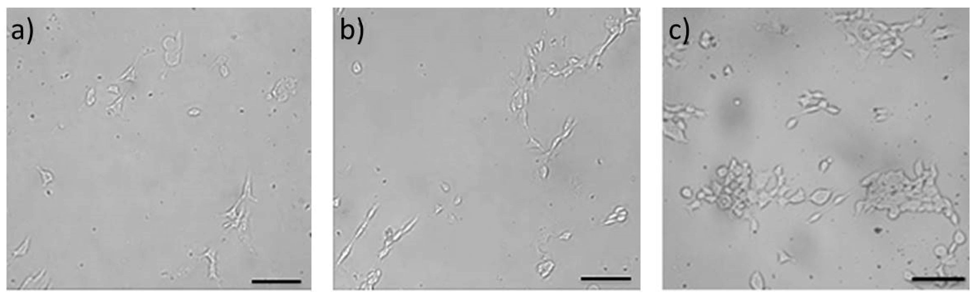 Materials 12 03340 g011