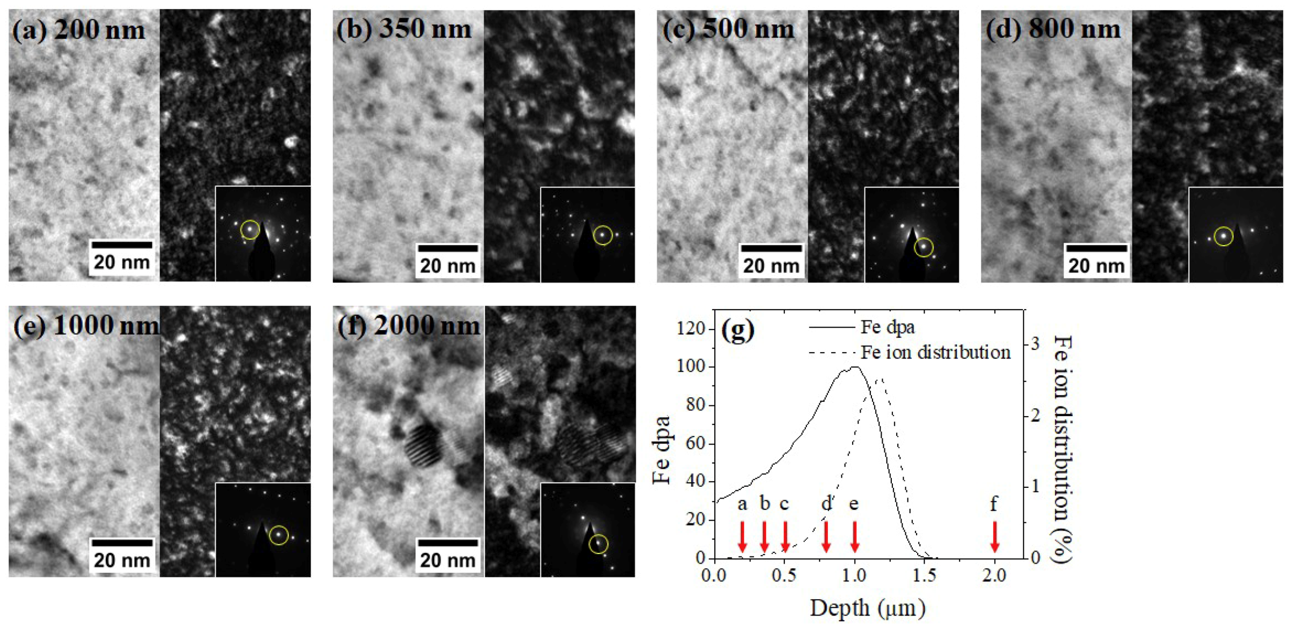 Materials 12 03343 g005