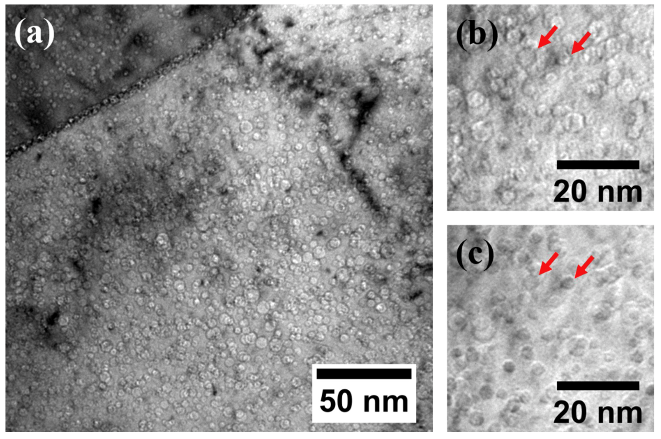 Materials 12 03343 g007