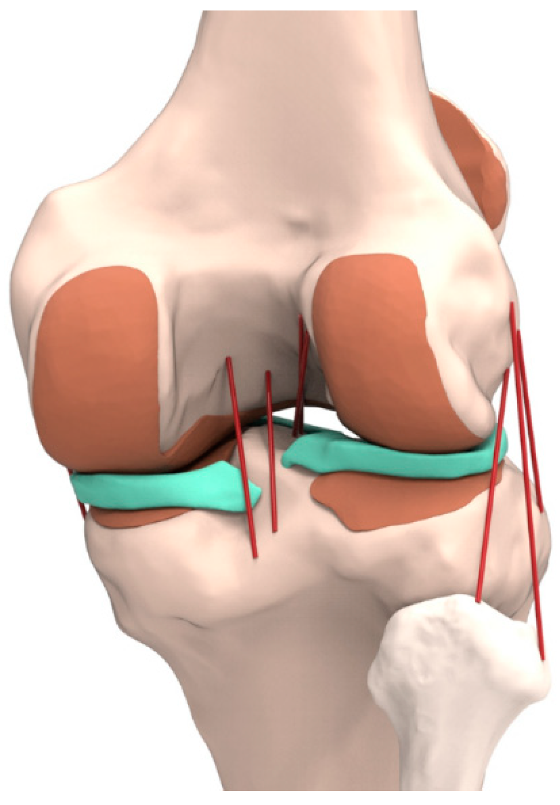 Materials 12 03345 g001 Materials 12 03345 g001