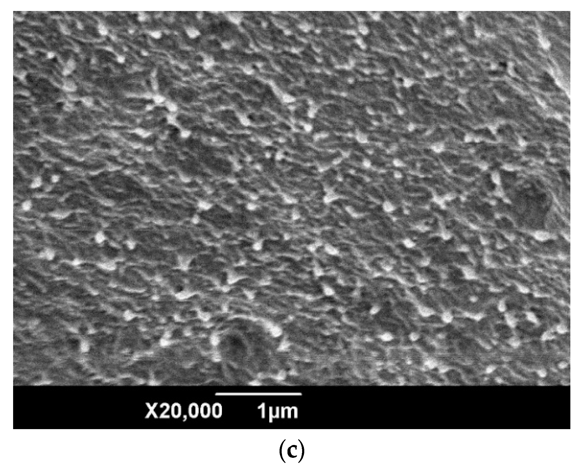 Materials 12 03346 g002b Materials 12 03346 g002b