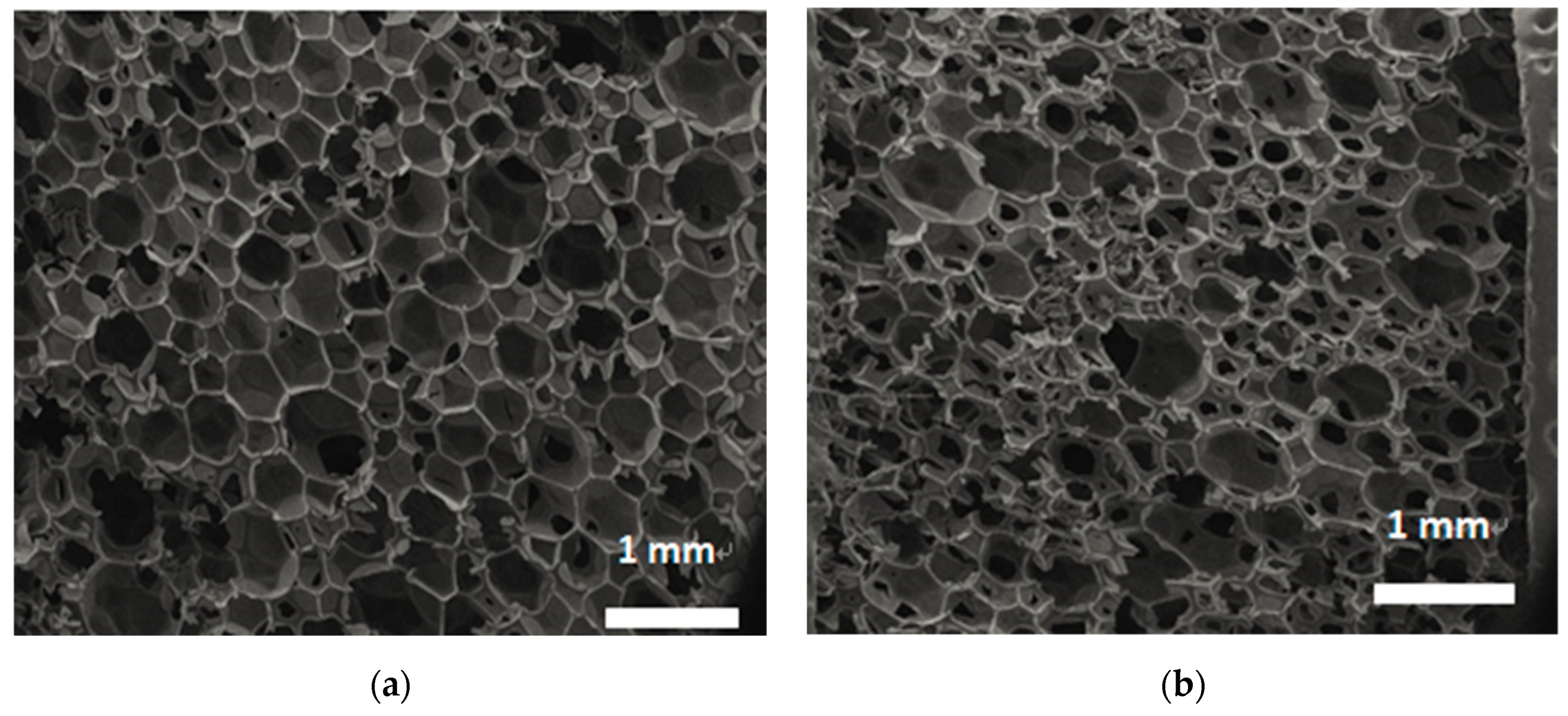 Materials 12 03348 g004