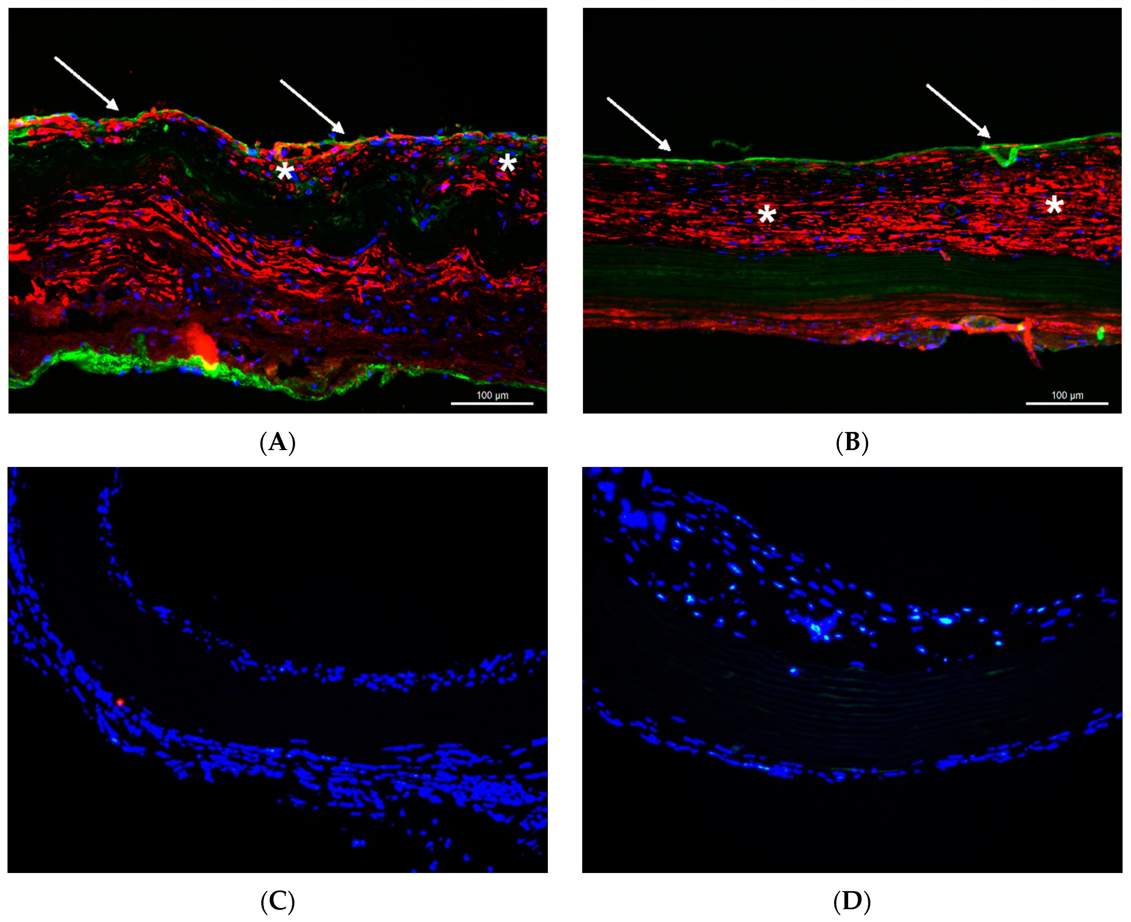 Materials 12 03351 g005